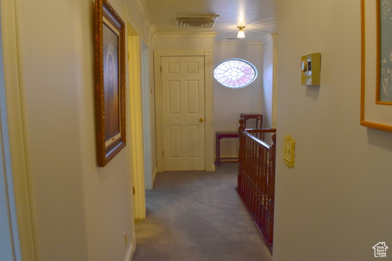 Hallway featuring ornamental molding and dark colored carpet