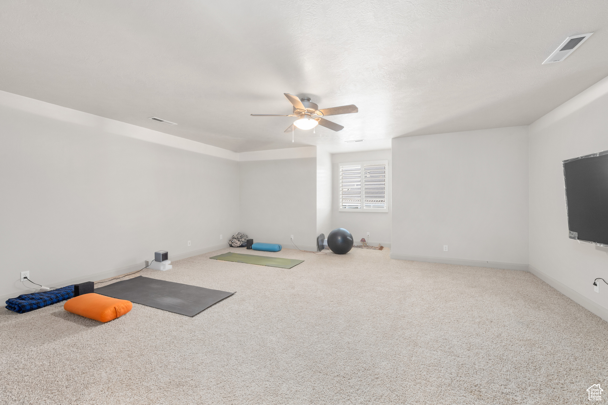 Workout room featuring carpet floors and ceiling fan