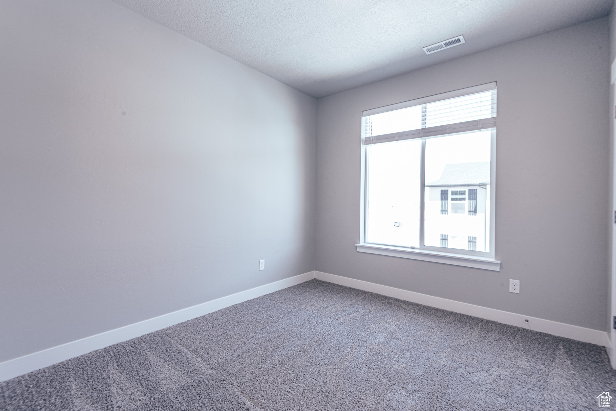 Unfurnished room with carpet flooring, a wealth of natural light, and a textured ceiling