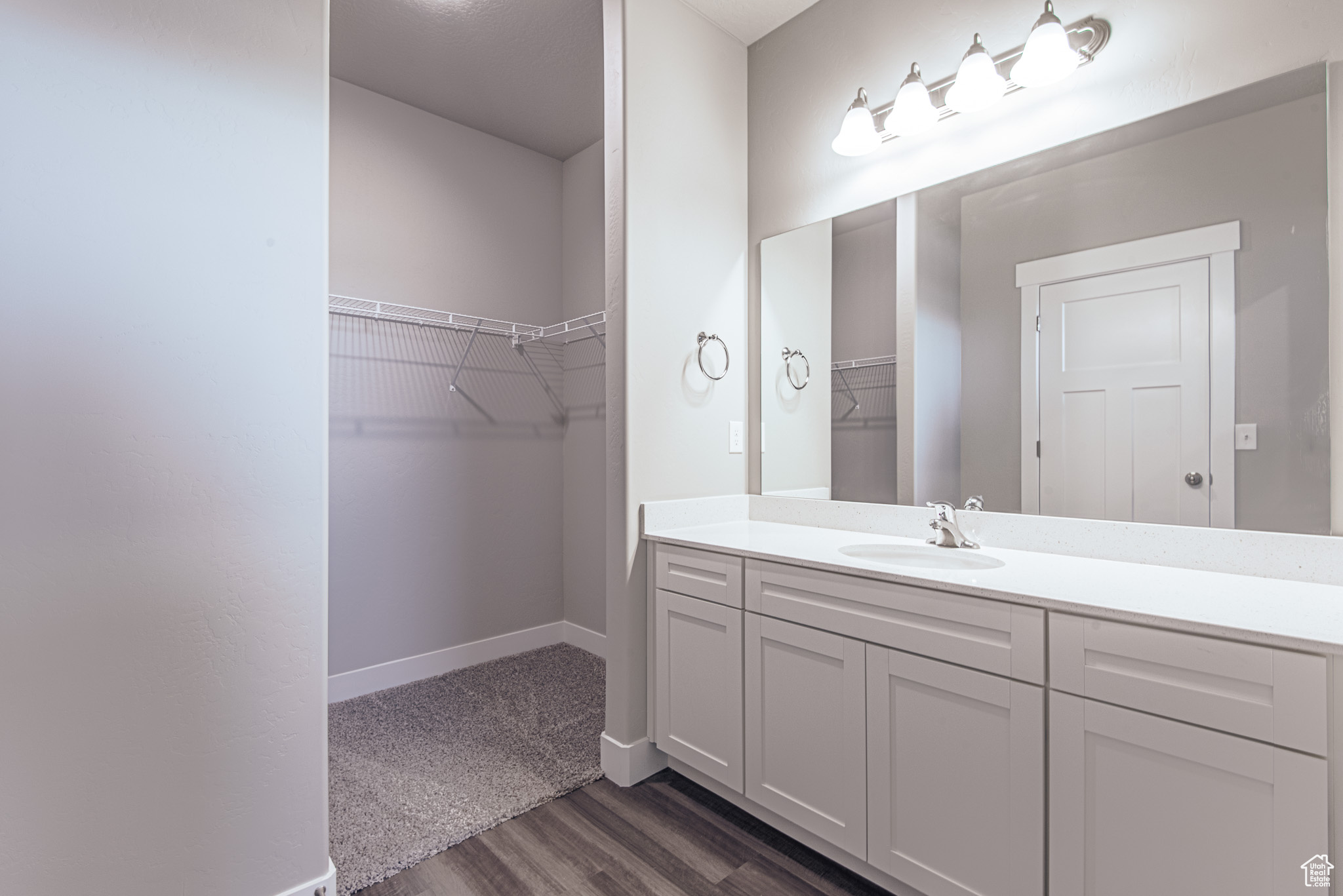 Bathroom with vanity and wood-type flooring