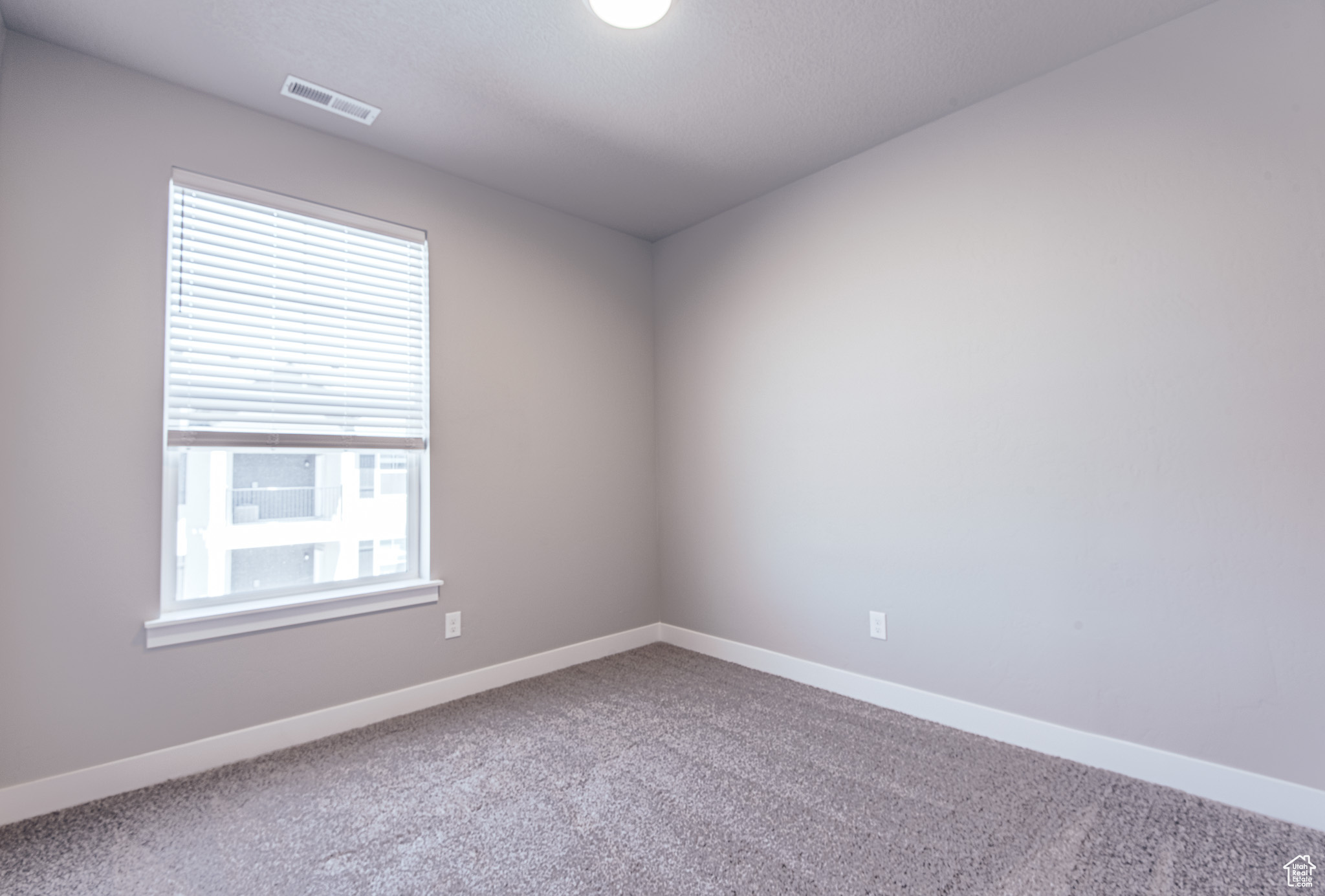 Spare room featuring a wealth of natural light and carpet floors