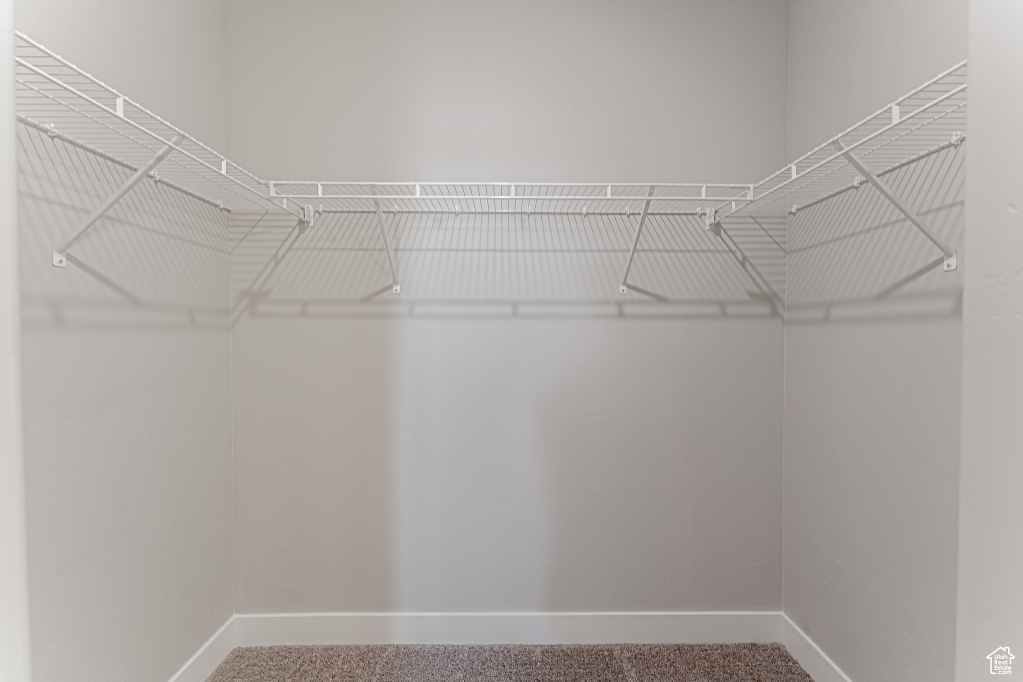 Spacious closet featuring carpet floors