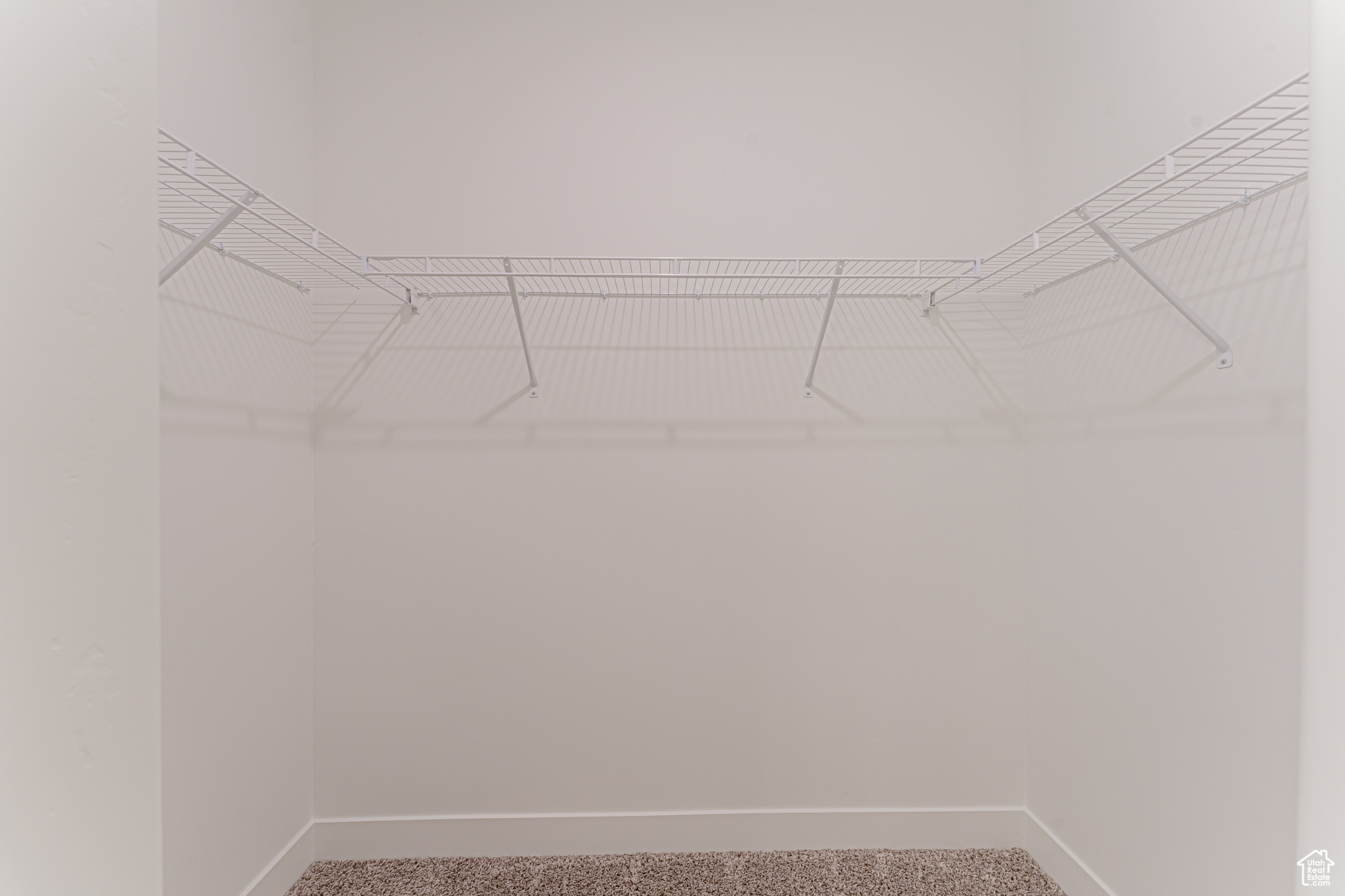 Spacious closet featuring carpet