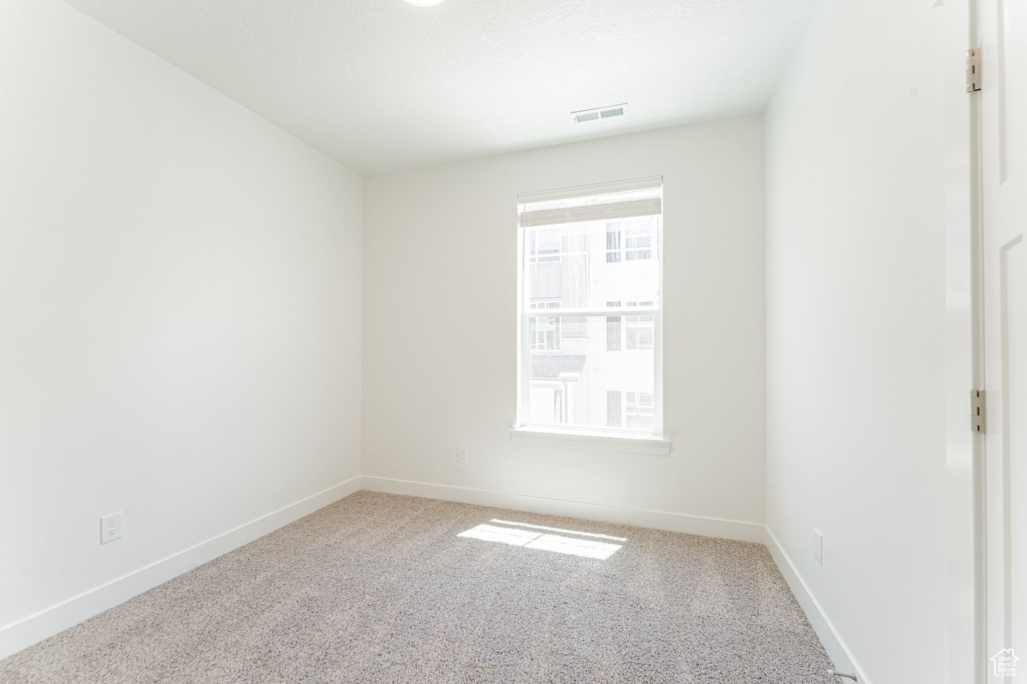 Spare room featuring carpet flooring and a wealth of natural light