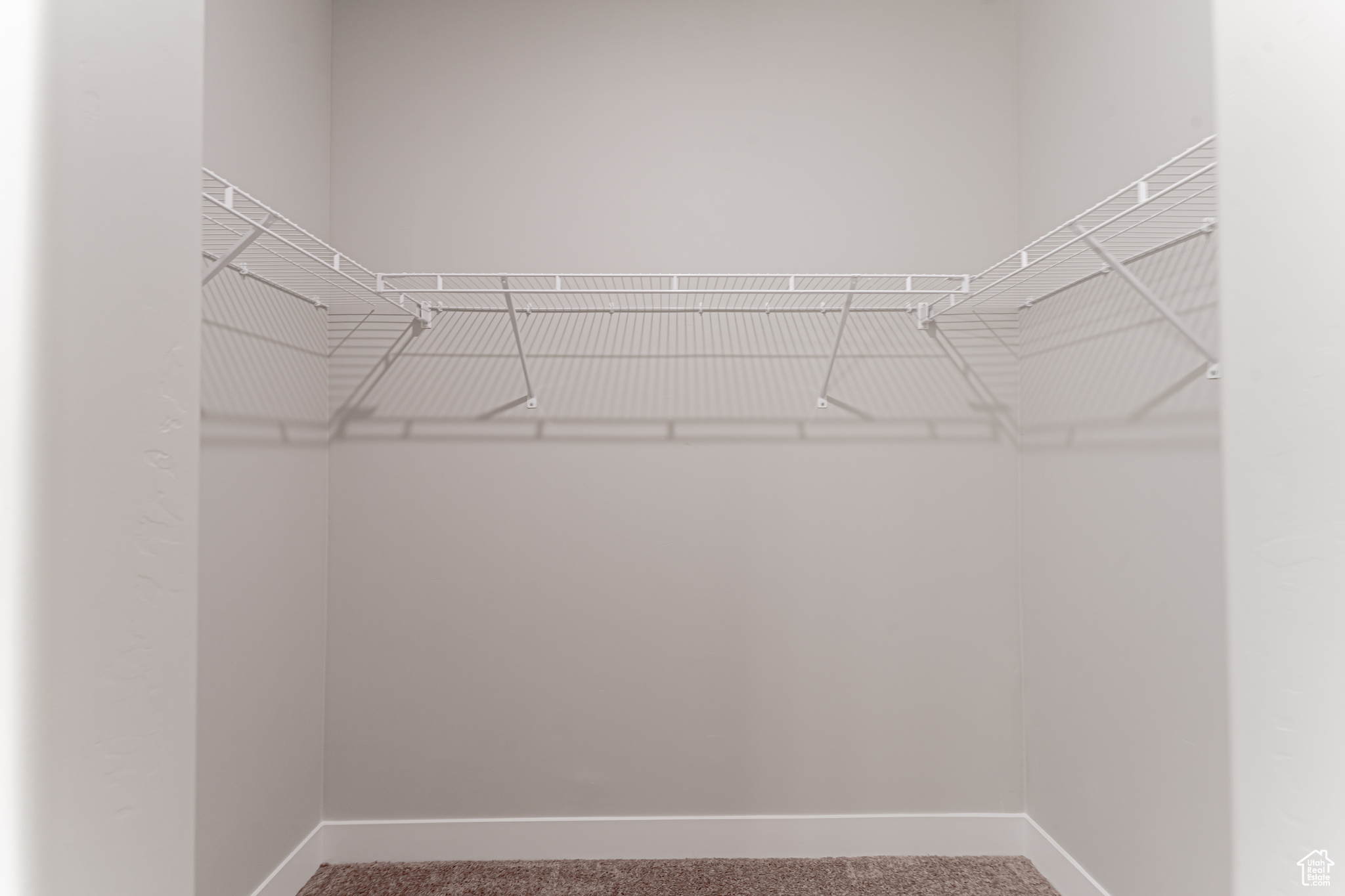 Spacious closet with carpet