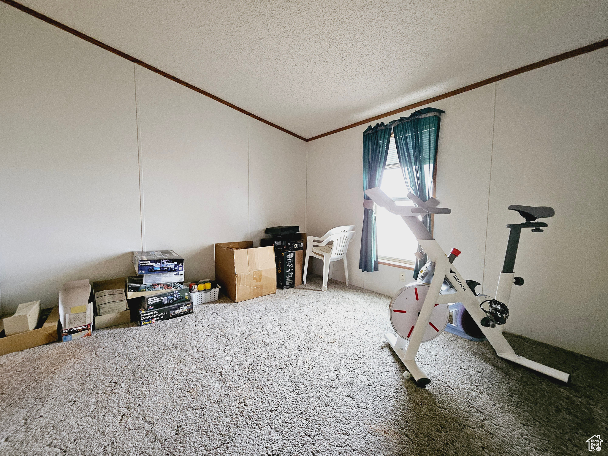 Exercise room with carpet flooring, a textured ceiling, and crown molding