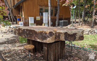 Stone Table (and Beehives)