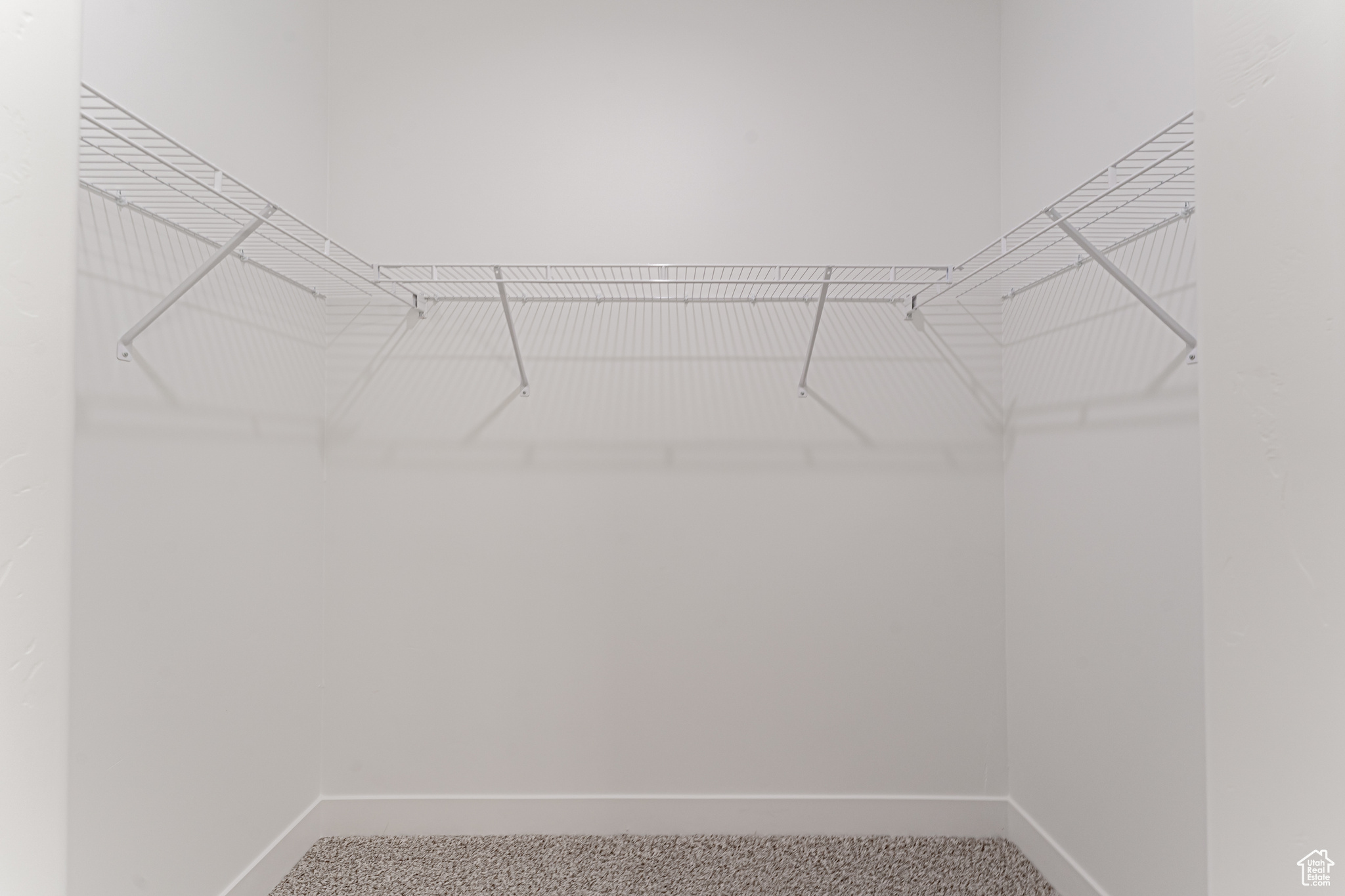 Spacious closet featuring carpet flooring