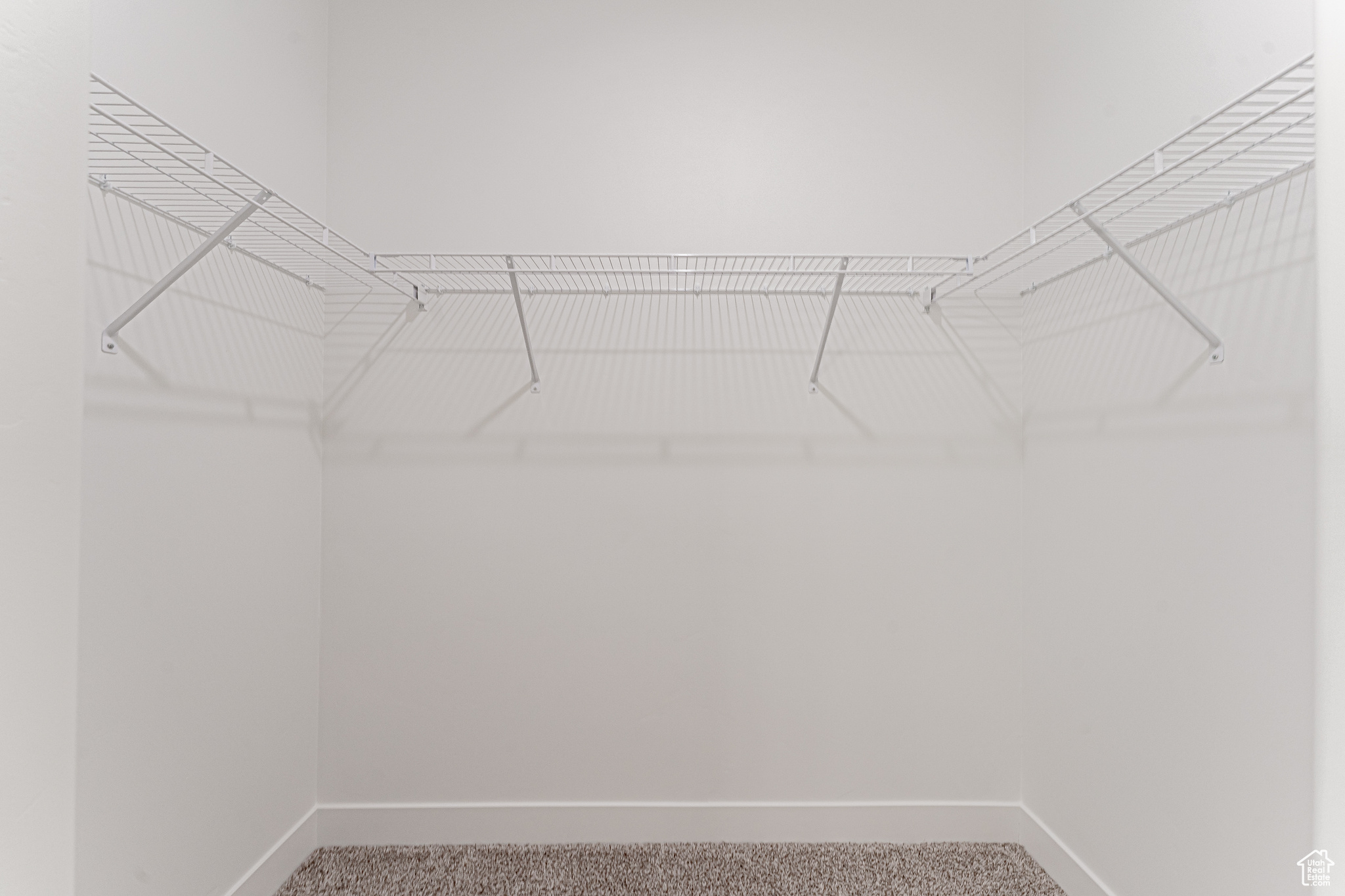 Walk in closet featuring carpet