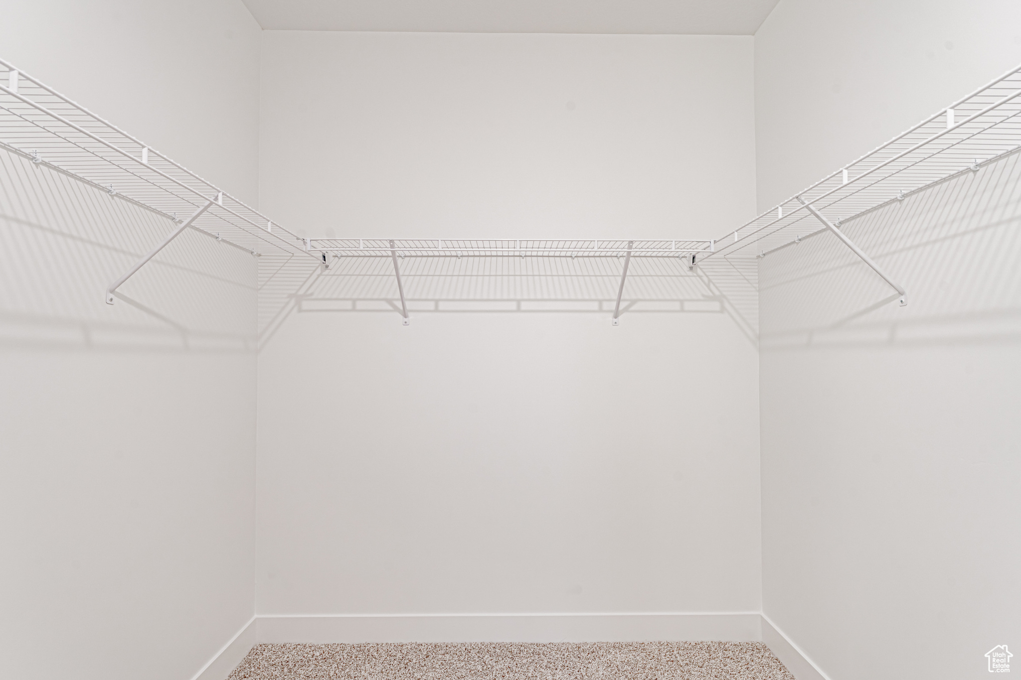 Walk in closet with carpet