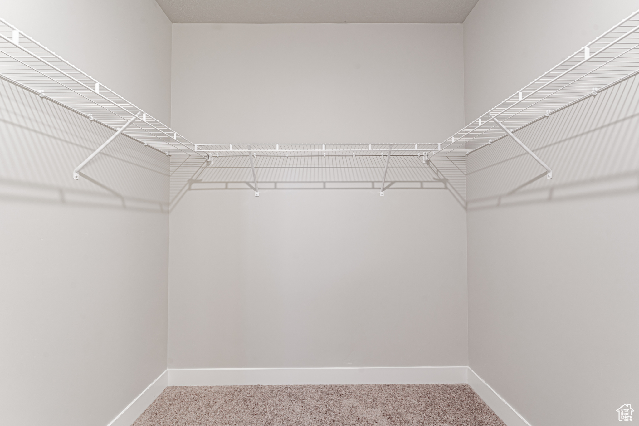 Spacious closet featuring carpet