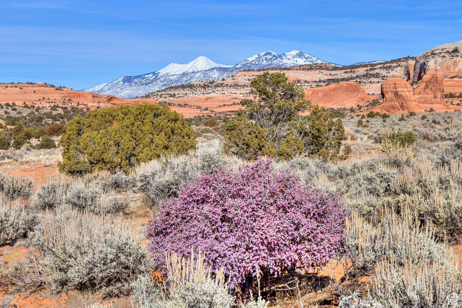 366 S JOE WILSON #L, Moab, Utah 84532, ,Land,For sale,JOE WILSON,1980588