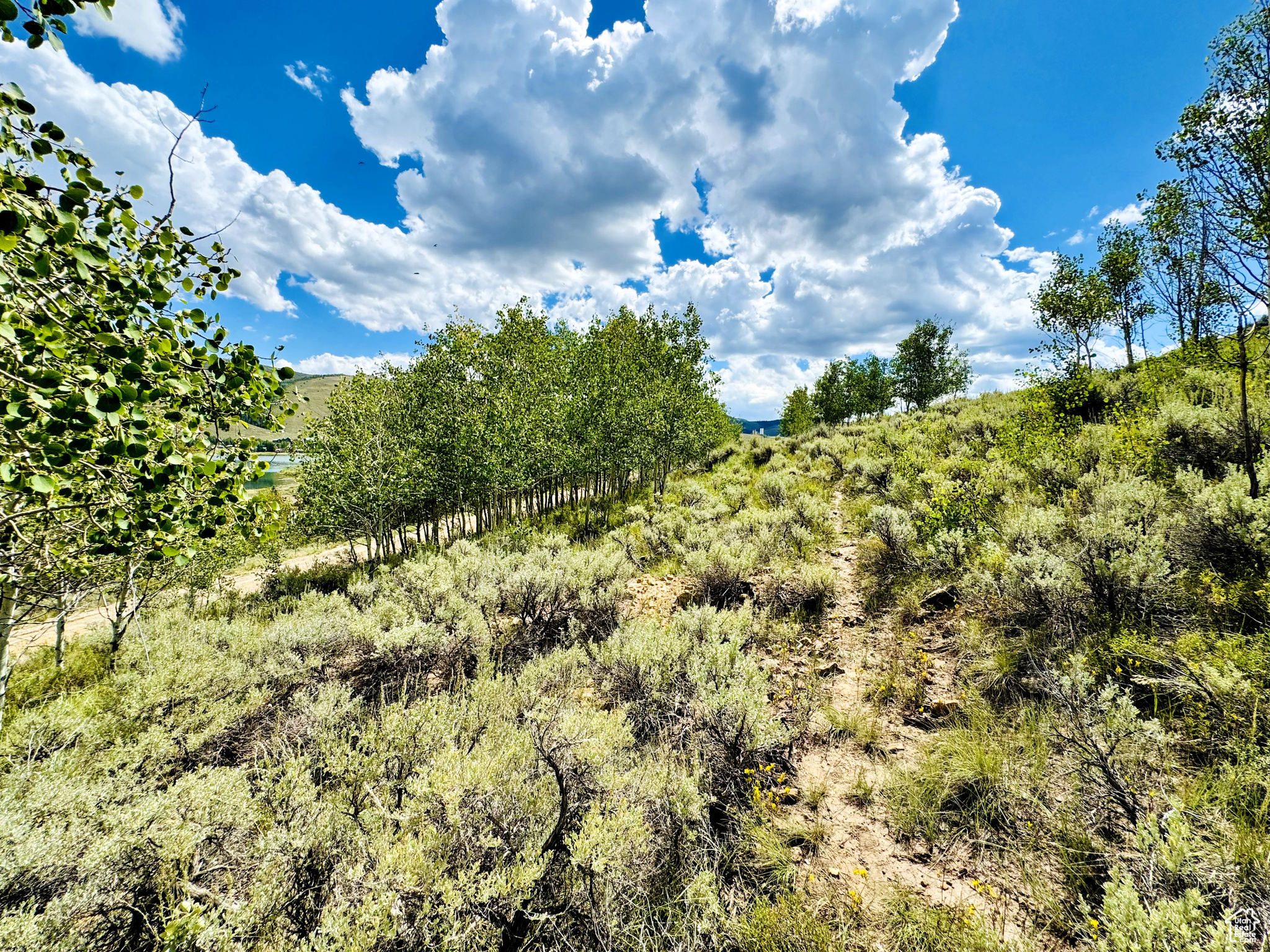 View of local wilderness featuring a rural view