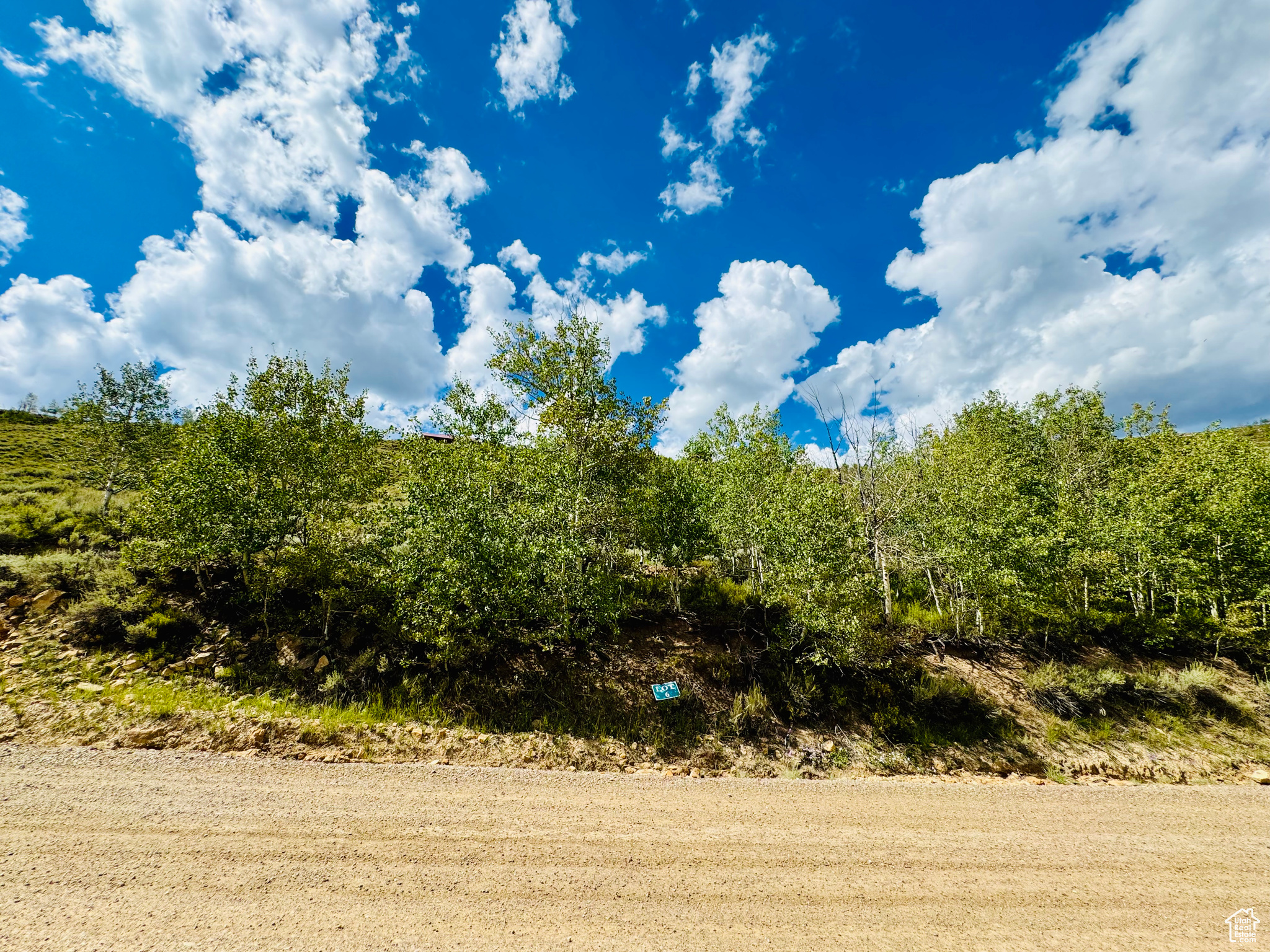 View of local wilderness