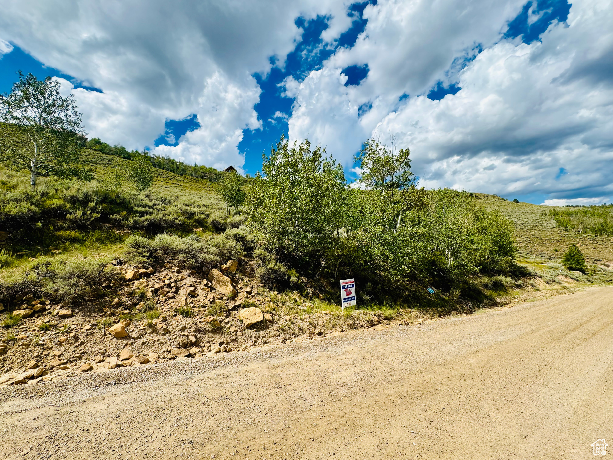 View of road