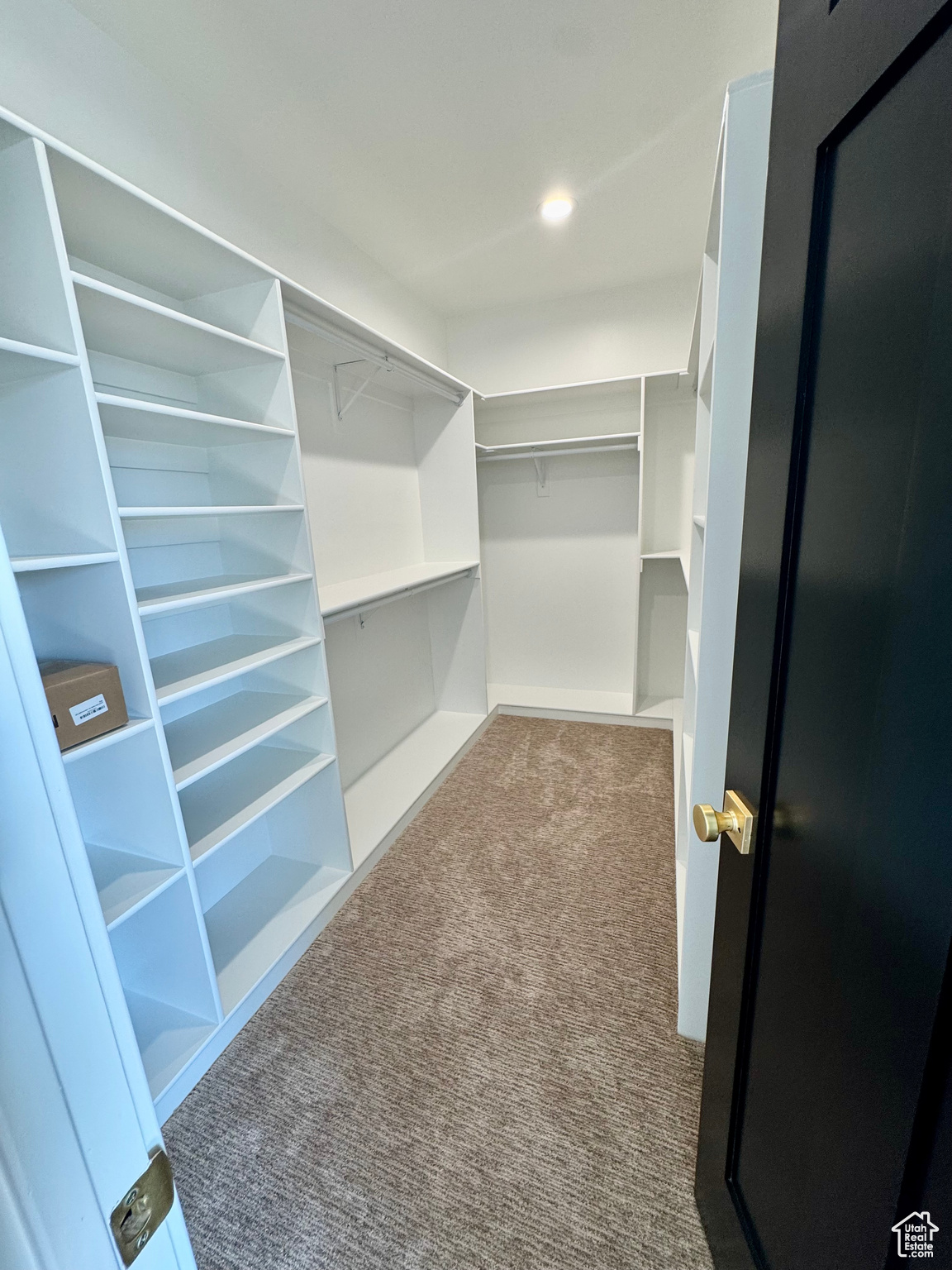 Walk in closet featuring light carpet