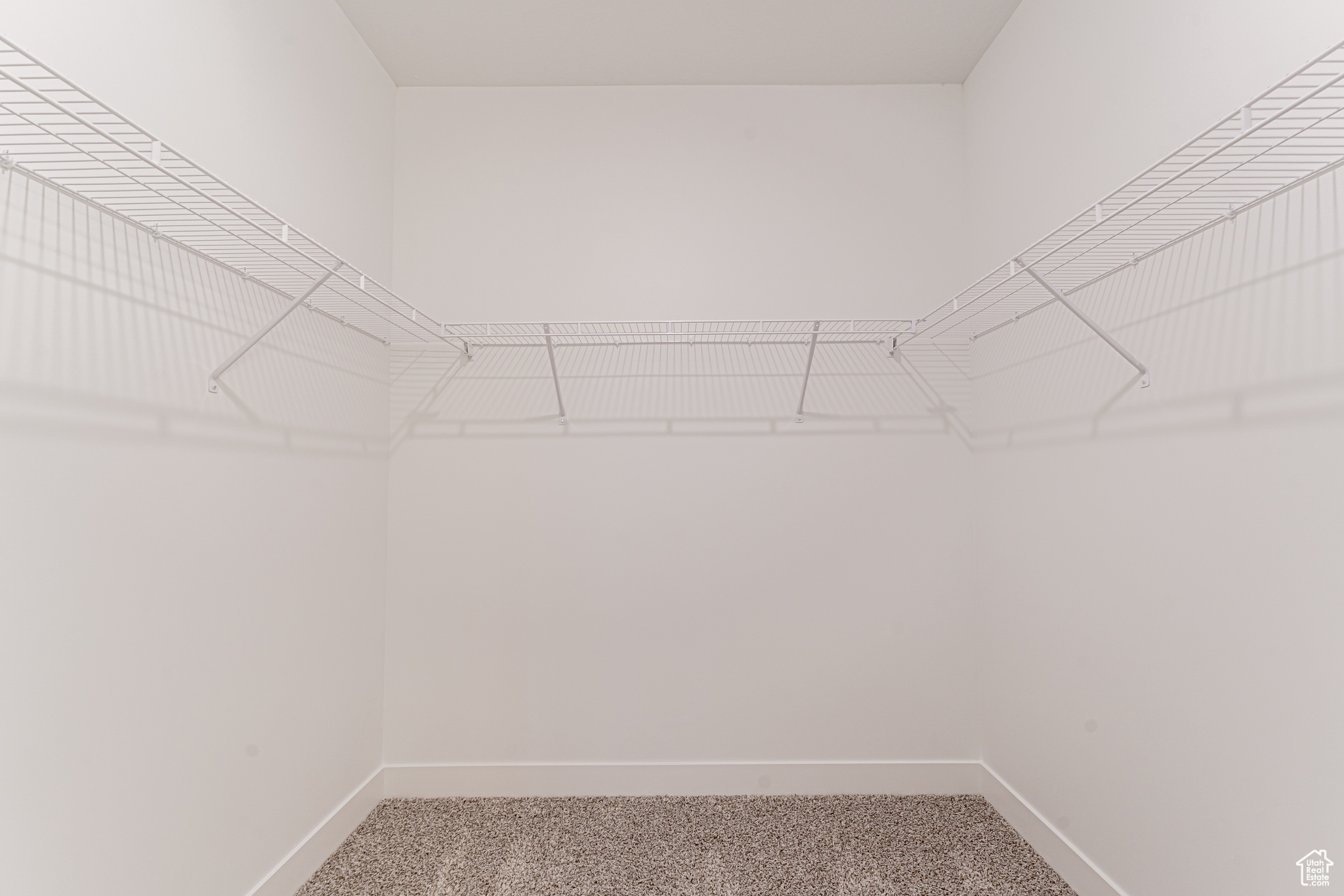 Spacious closet featuring carpet floors