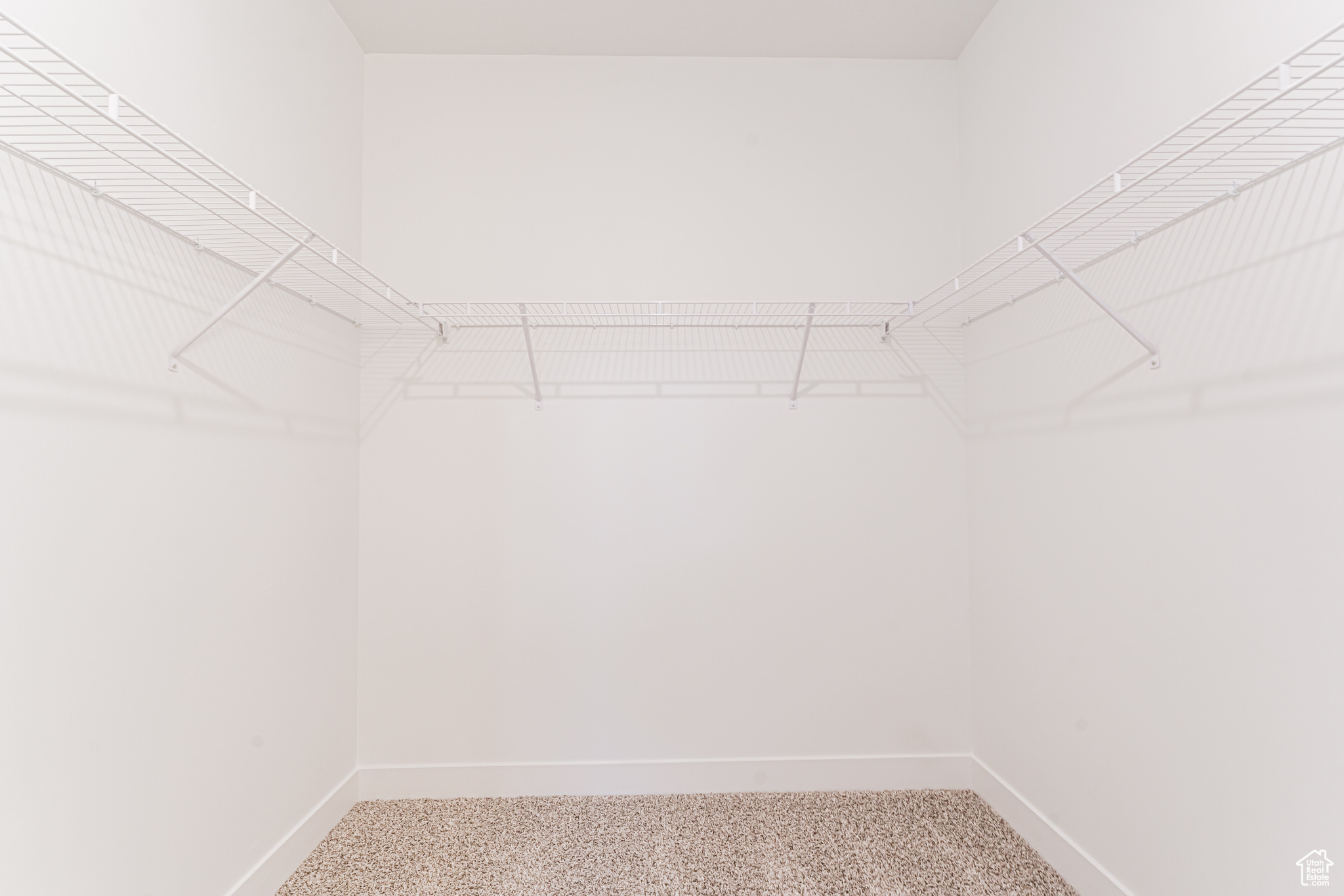 Spacious closet featuring carpet floors