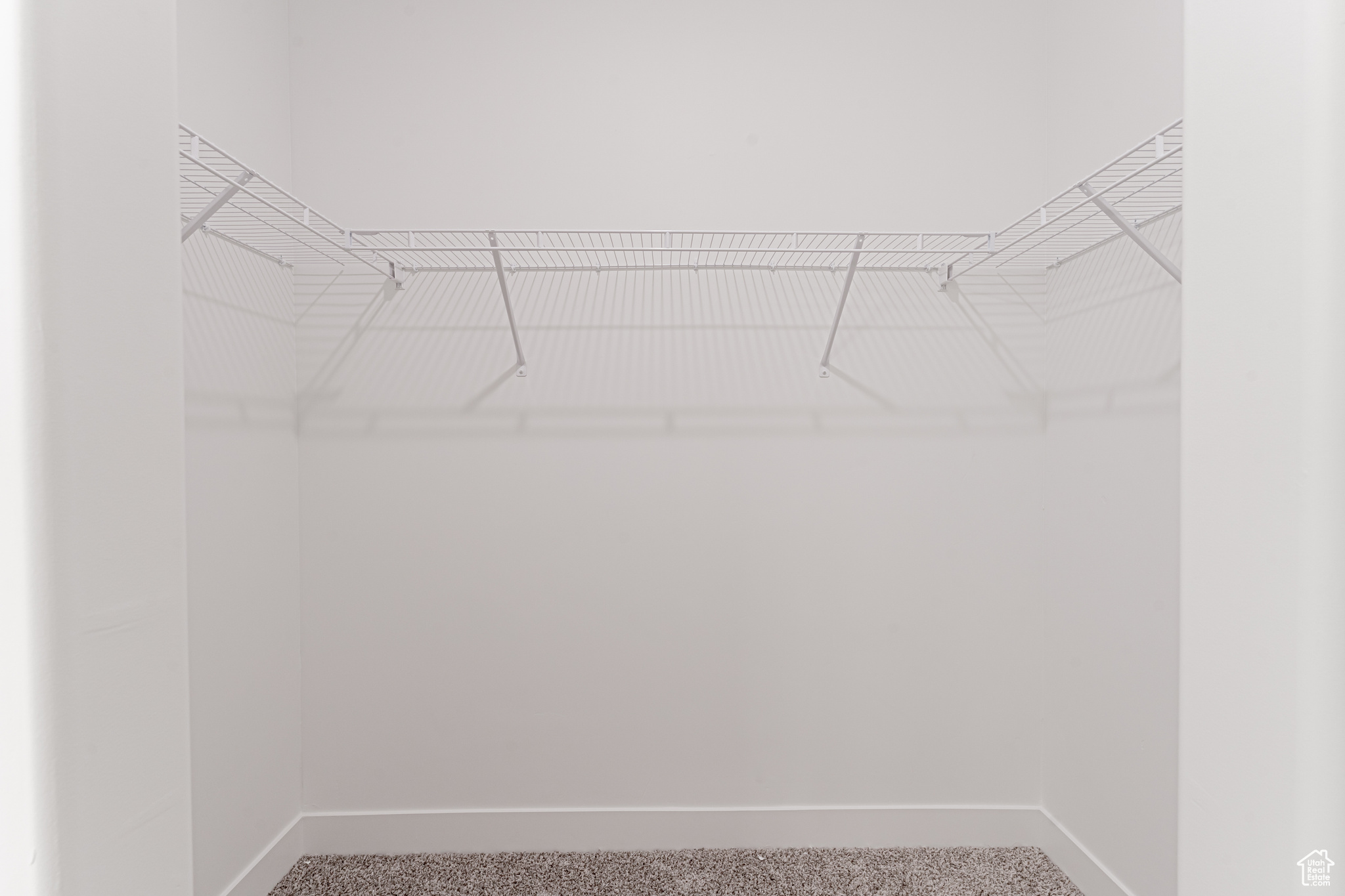 Spacious closet featuring carpet floors