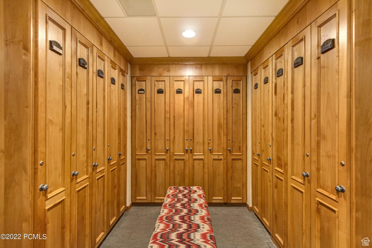 Mudroom featuring dark colored carpet and a paneled ceiling