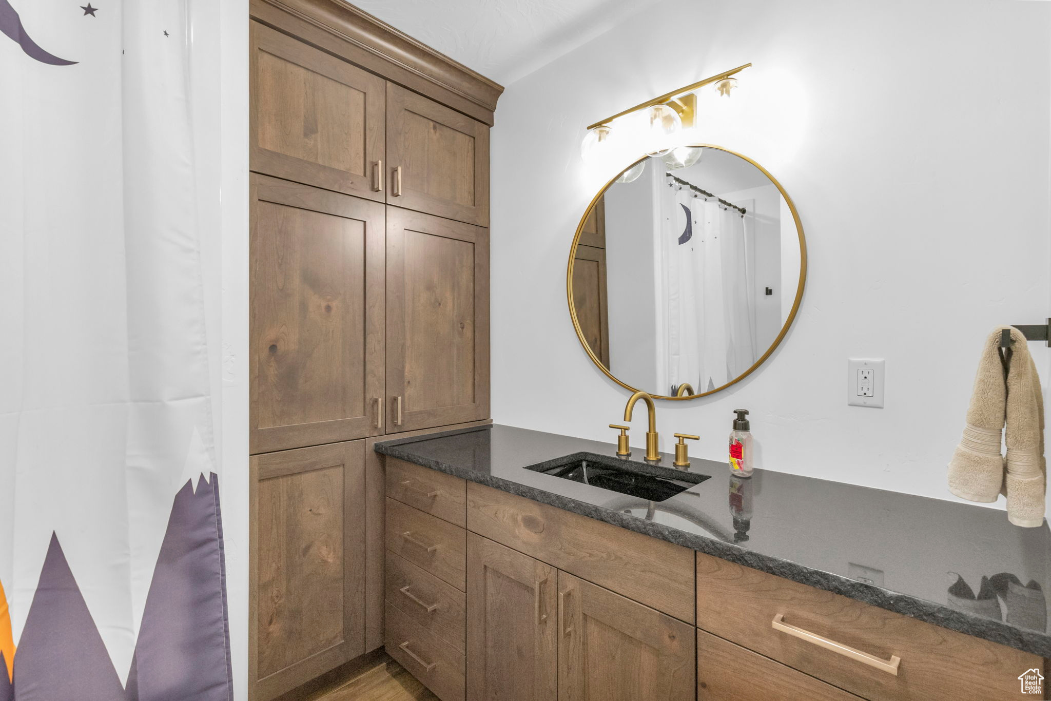 Bathroom with vanity and wood-type flooring