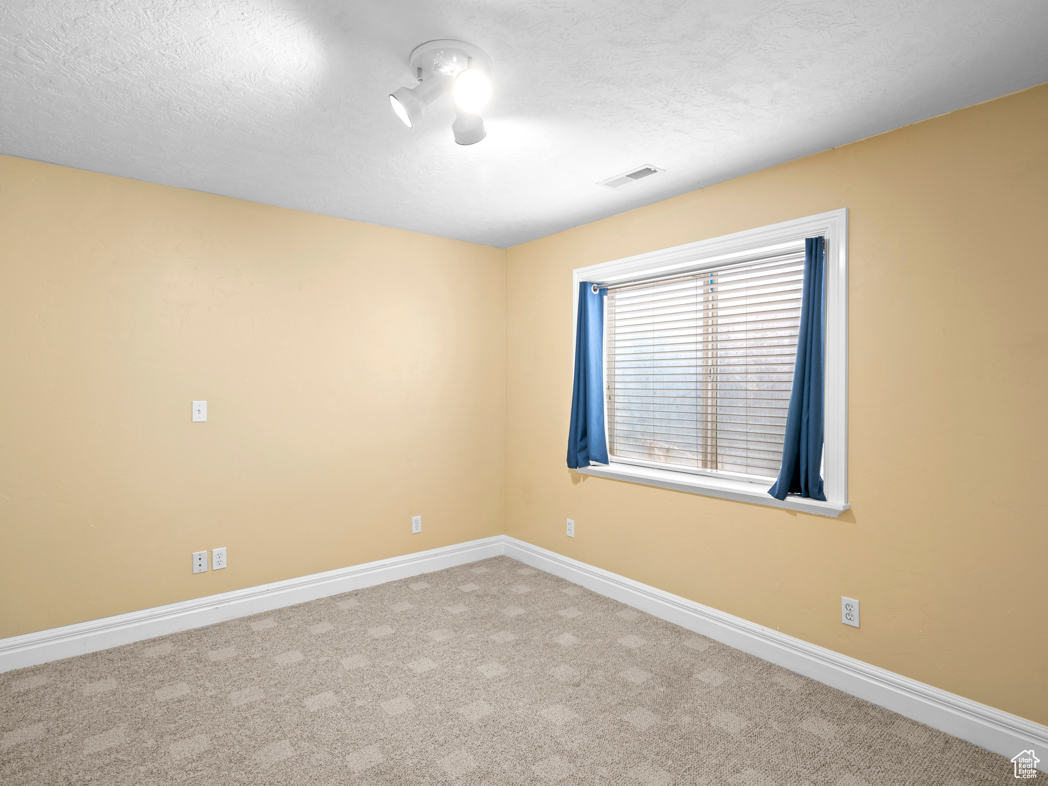 Unfurnished room featuring light colored carpet and a textured ceiling