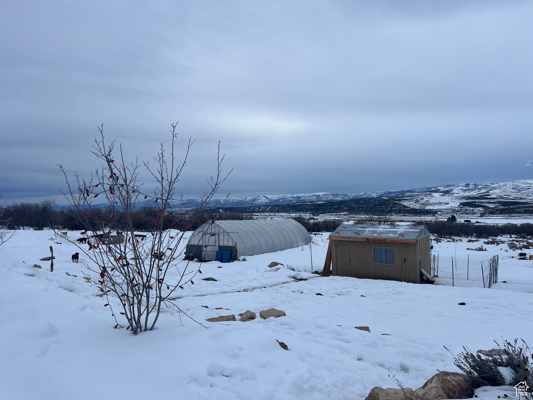 Yard covered in snow with a storage shed and a mountain view