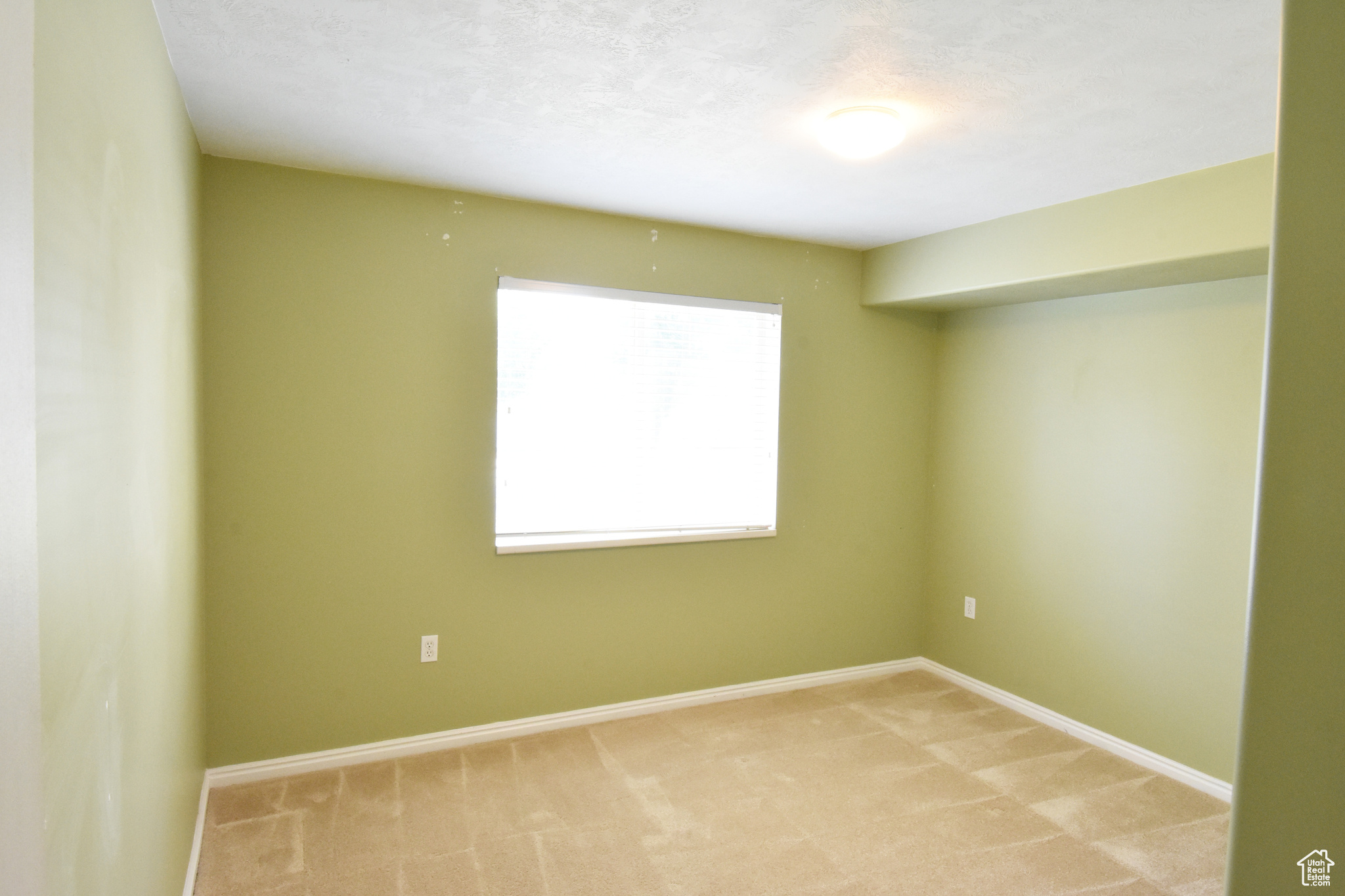 Unfurnished room featuring carpet floors