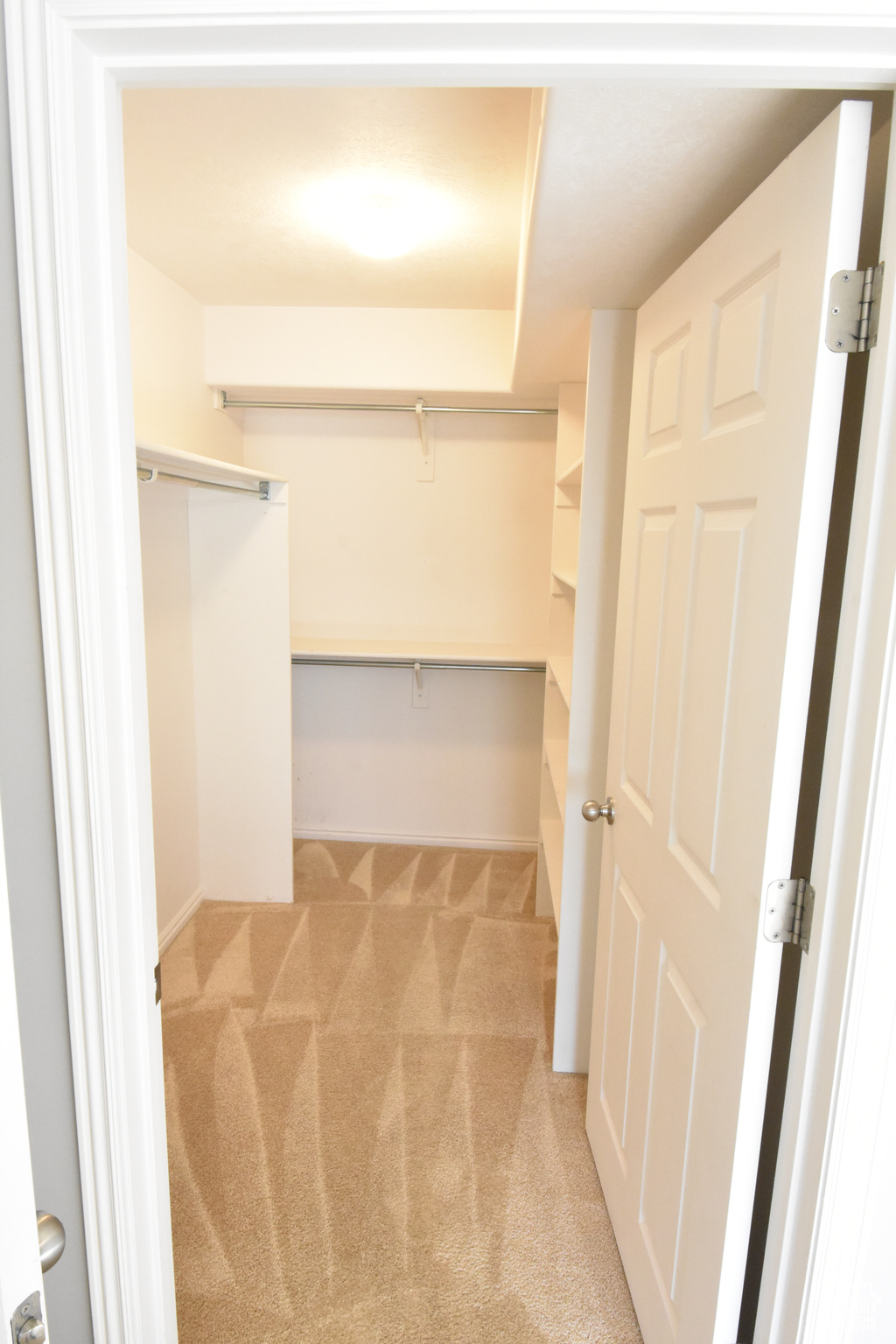 Walk in closet with light carpet