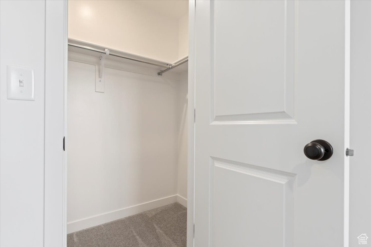 Spacious closet with carpet flooring