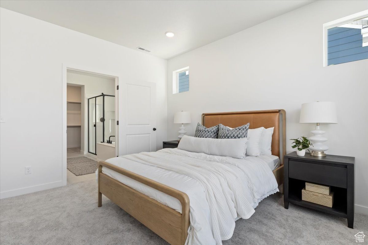 Bedroom with a spacious closet and carpet floors