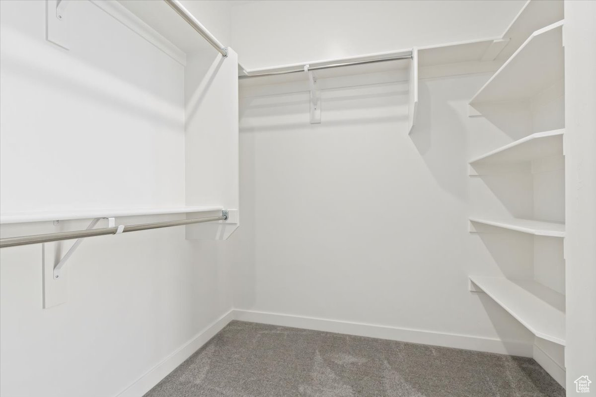 Spacious closet featuring carpet flooring