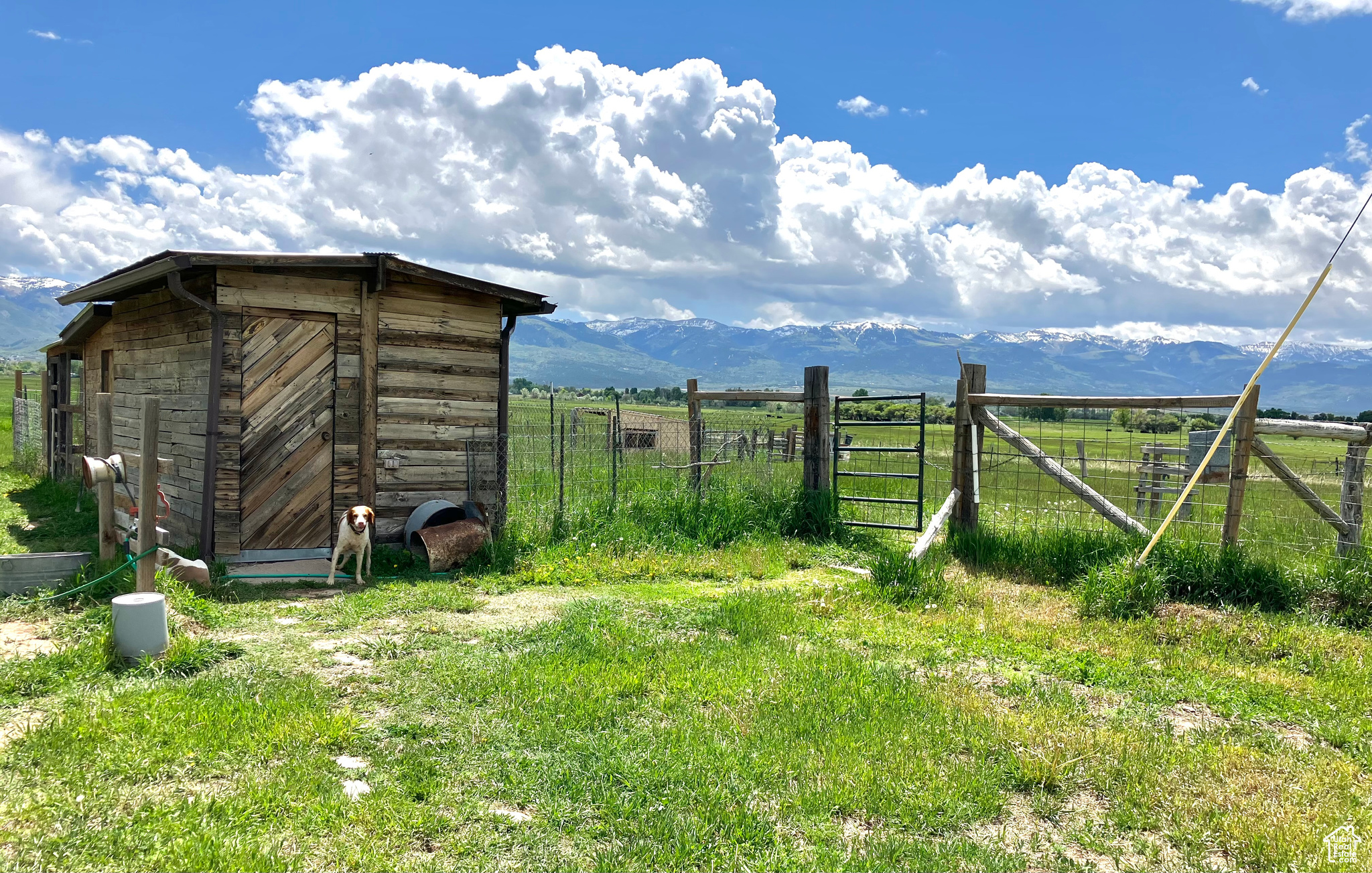 19600 N 8250 E, Mt Pleasant, Utah 84647, 6 Bedrooms Bedrooms, 12 Rooms Rooms,3 BathroomsBathrooms,Residential,For sale,8250,1982362