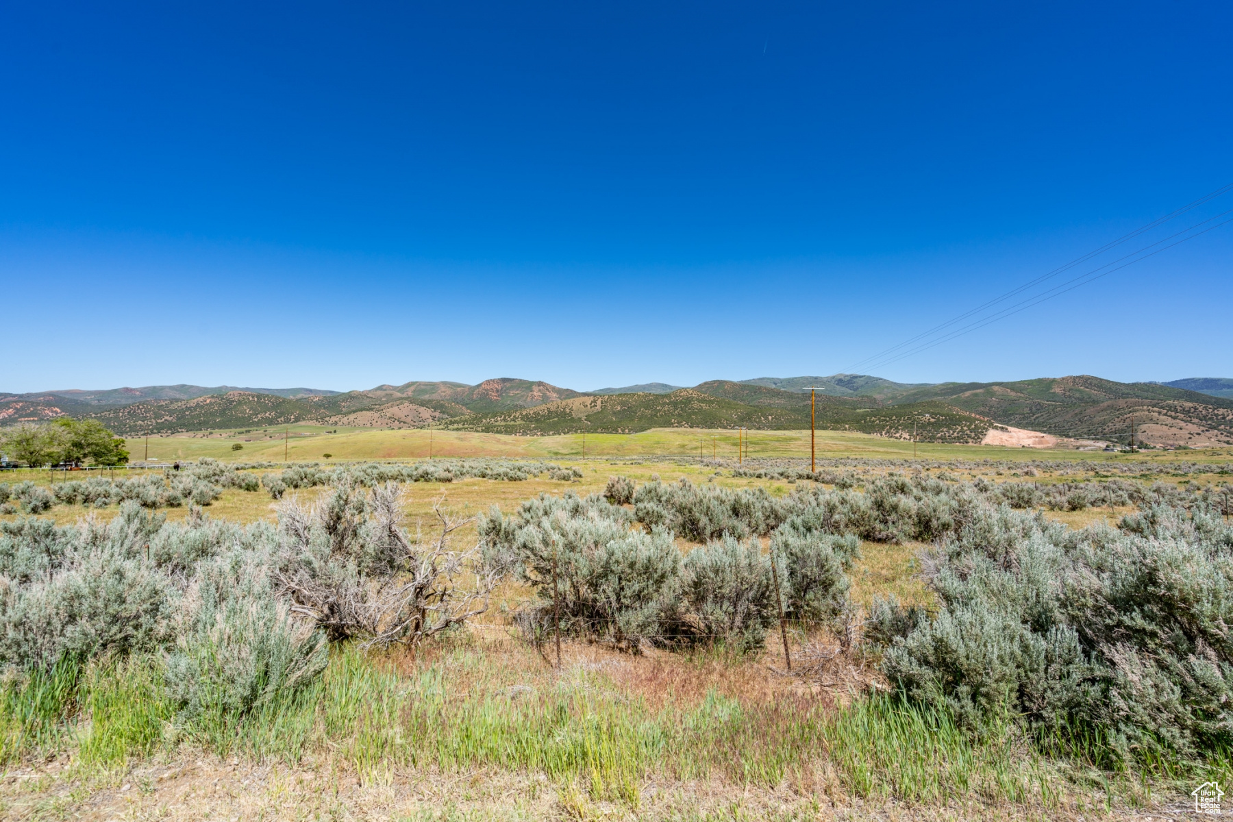 1645 SOUTH, WEST HOYTSVILLE, Wanship, Utah 84017, ,Land,For sale,SOUTH, WEST HOYTSVILLE,1982378