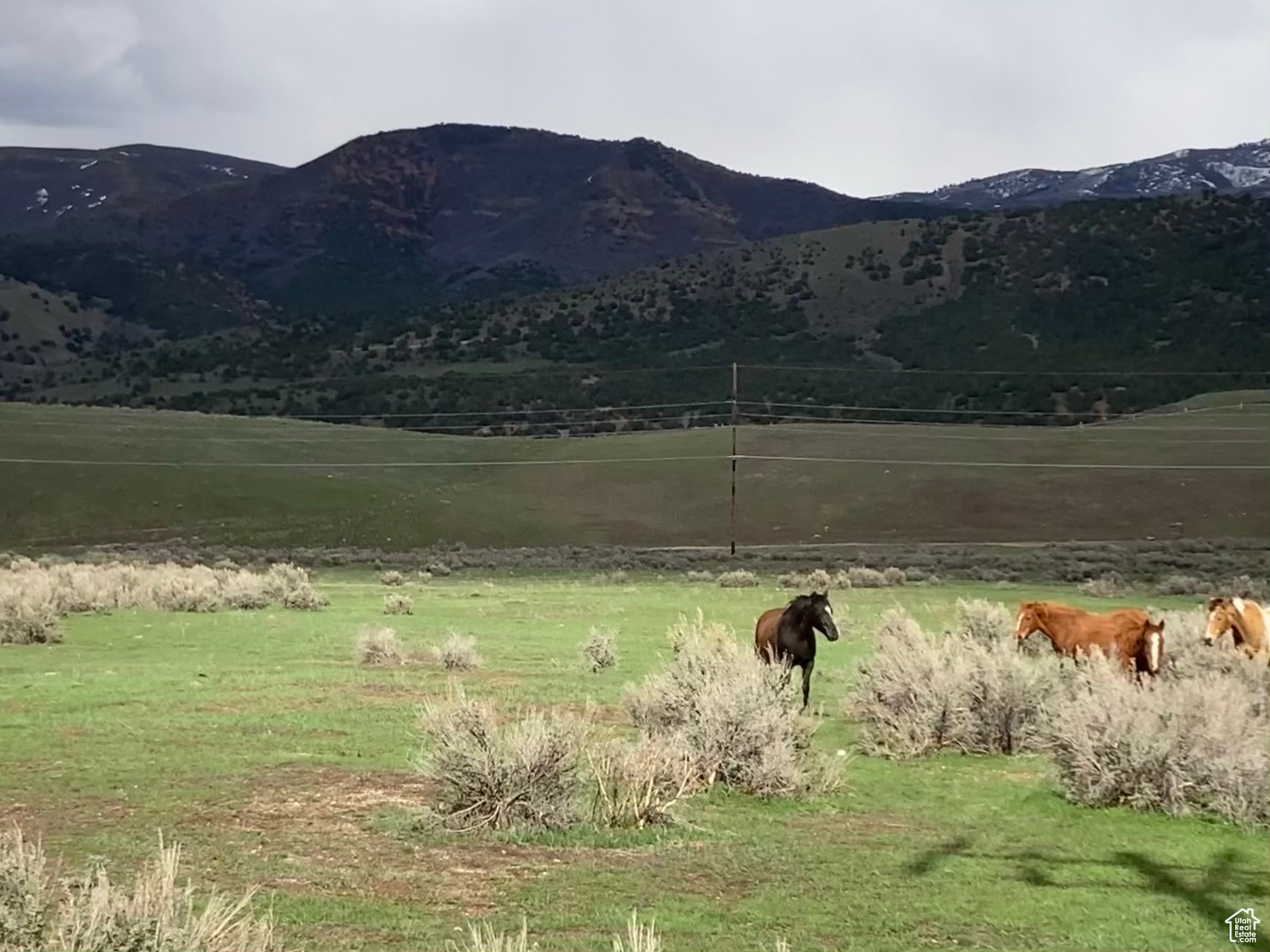 1645 SOUTH, WEST HOYTSVILLE, Wanship, Utah 84017, ,Land,For sale,SOUTH, WEST HOYTSVILLE,1982378