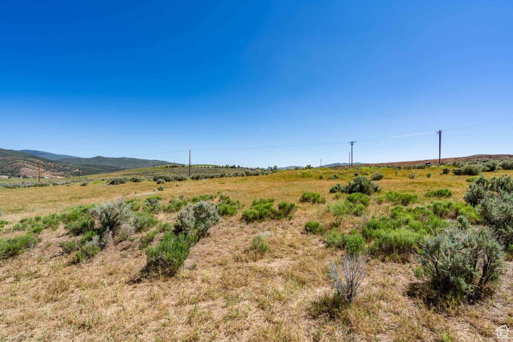 1645 SOUTH, WEST HOYTSVILLE, Wanship, Utah 84017, ,Land,For sale,SOUTH, WEST HOYTSVILLE,1982378