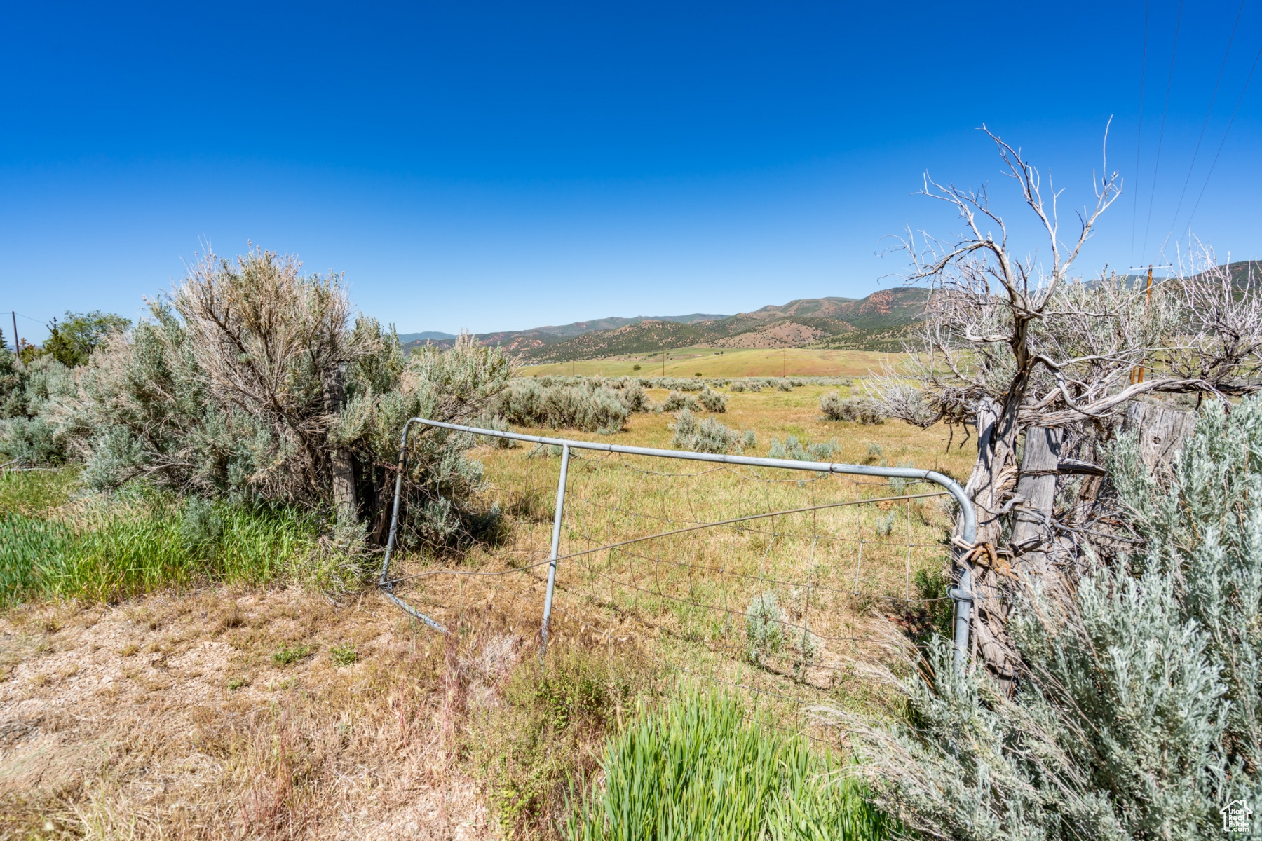 1645 SOUTH, WEST HOYTSVILLE, Wanship, Utah 84017, ,Land,For sale,SOUTH, WEST HOYTSVILLE,1982378