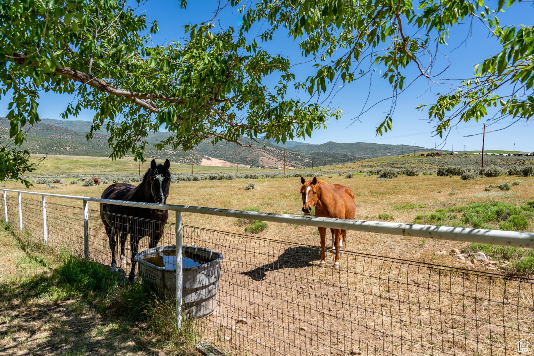 1645 SOUTH, WEST HOYTSVILLE, Wanship, Utah 84017, ,Land,For sale,SOUTH, WEST HOYTSVILLE,1982378