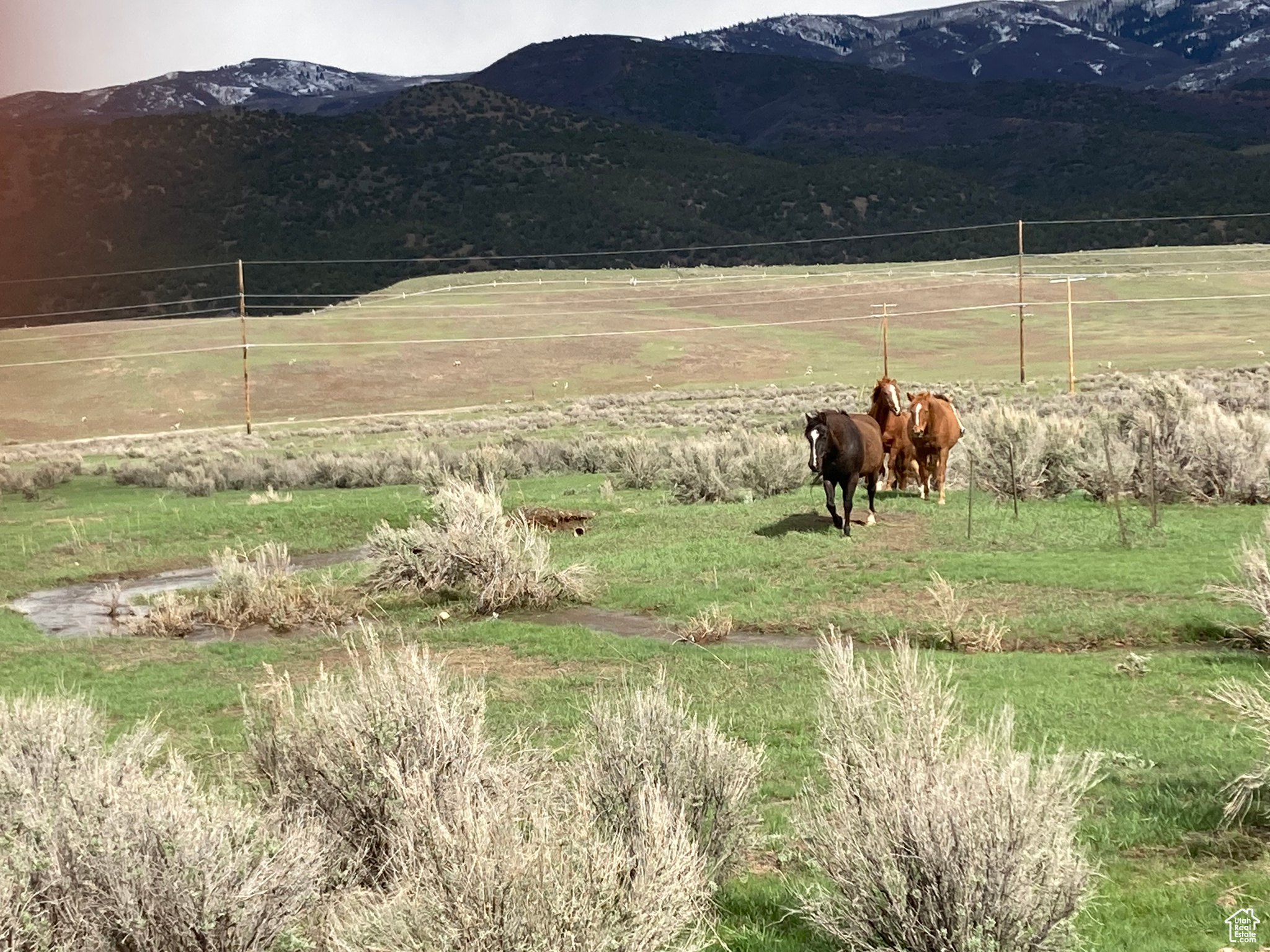 1645 SOUTH, WEST HOYTSVILLE, Wanship, Utah 84017, ,Land,For sale,SOUTH, WEST HOYTSVILLE,1982378