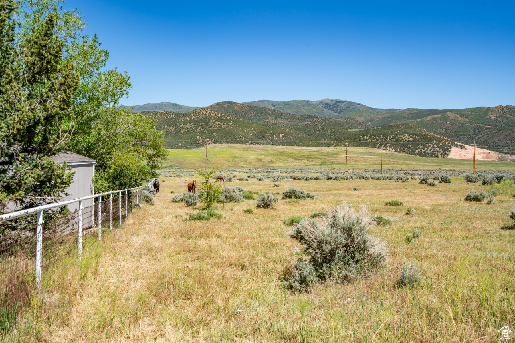 1645 SOUTH, WEST HOYTSVILLE, Wanship, Utah 84017, ,Land,For sale,SOUTH, WEST HOYTSVILLE,1982378