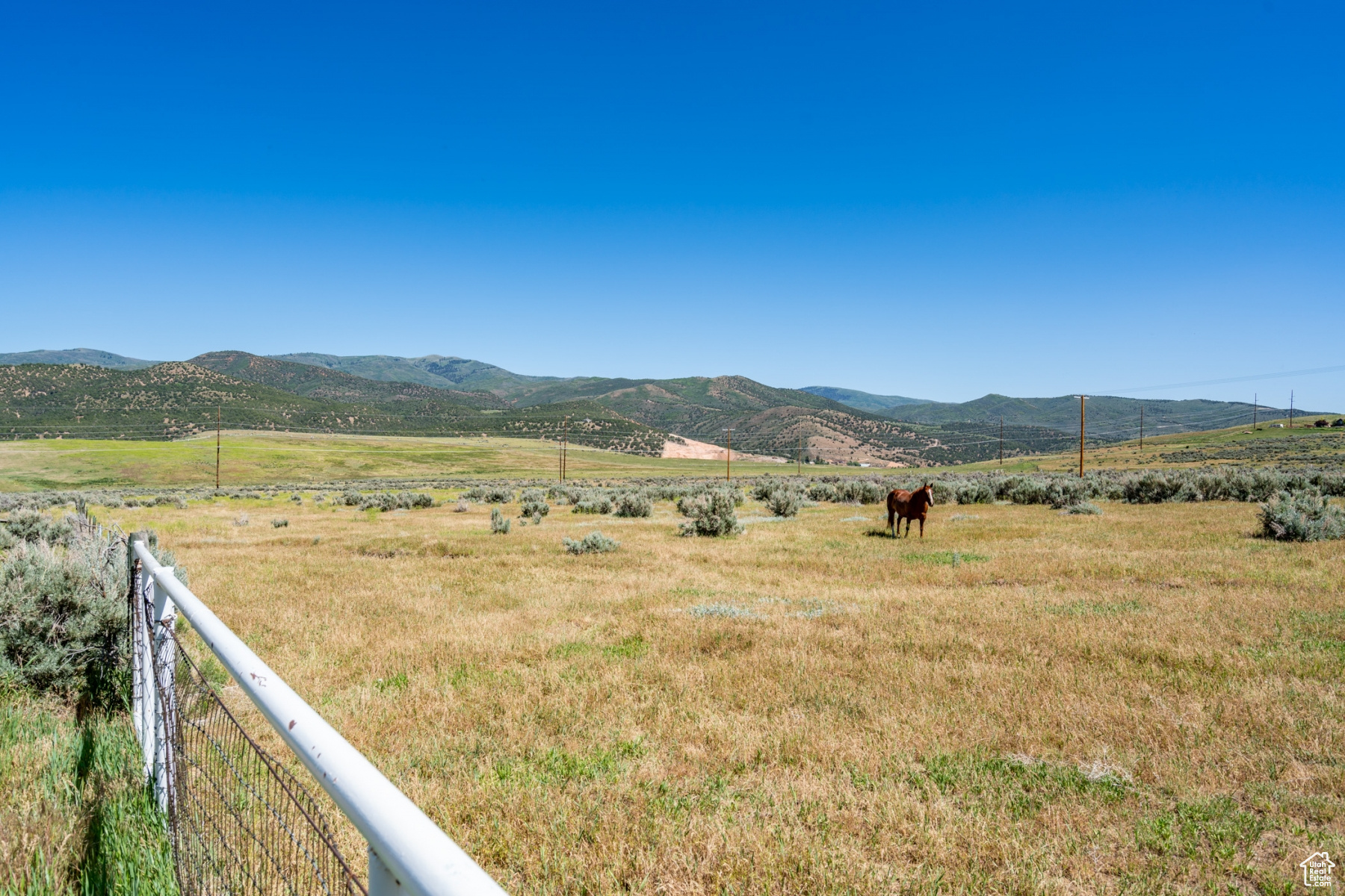 1645 SOUTH, WEST HOYTSVILLE, Wanship, Utah 84017, ,Land,For sale,SOUTH, WEST HOYTSVILLE,1982378