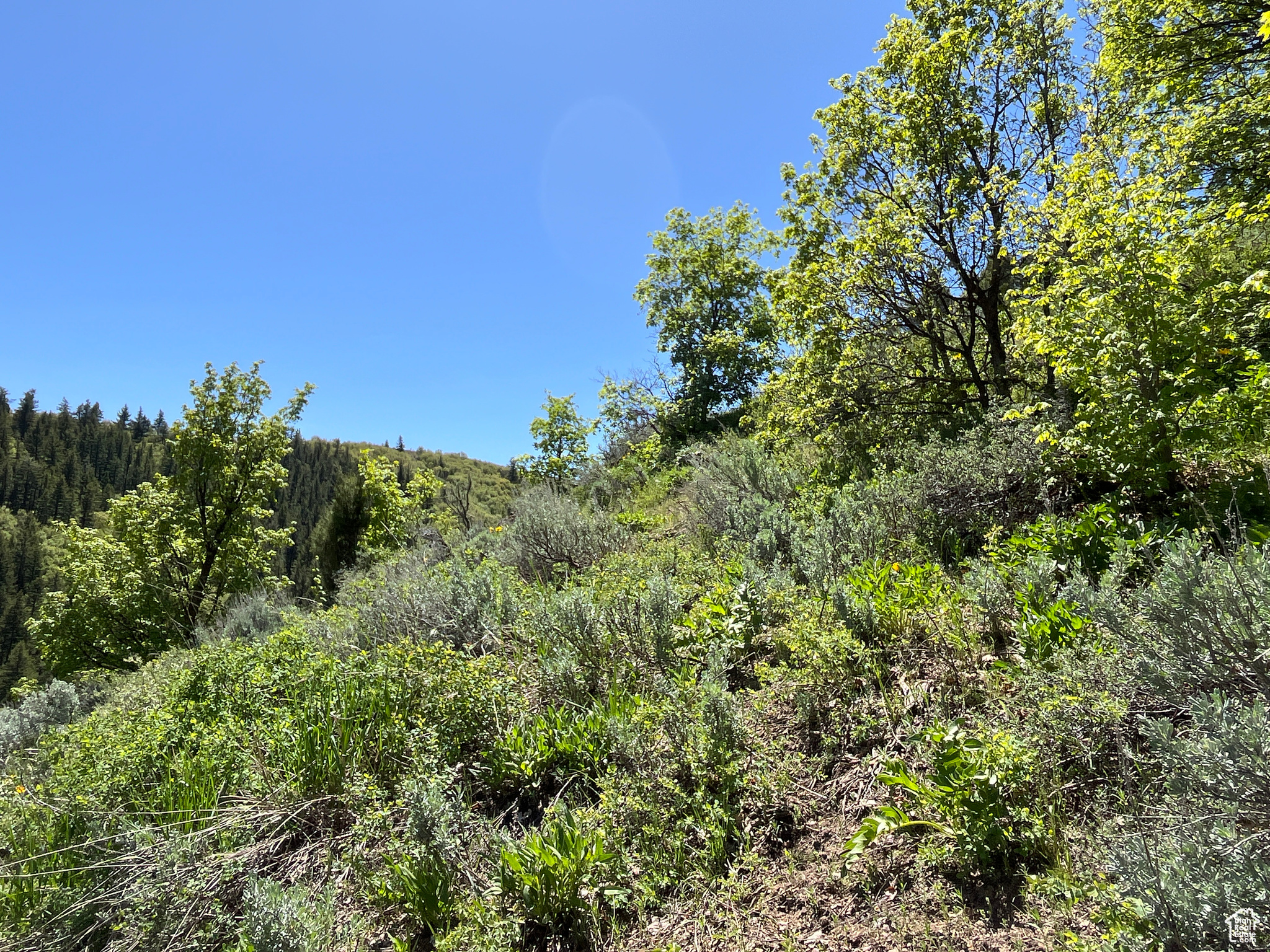 0, Pocatello, Idaho 83201, ,Land,For sale,1982463