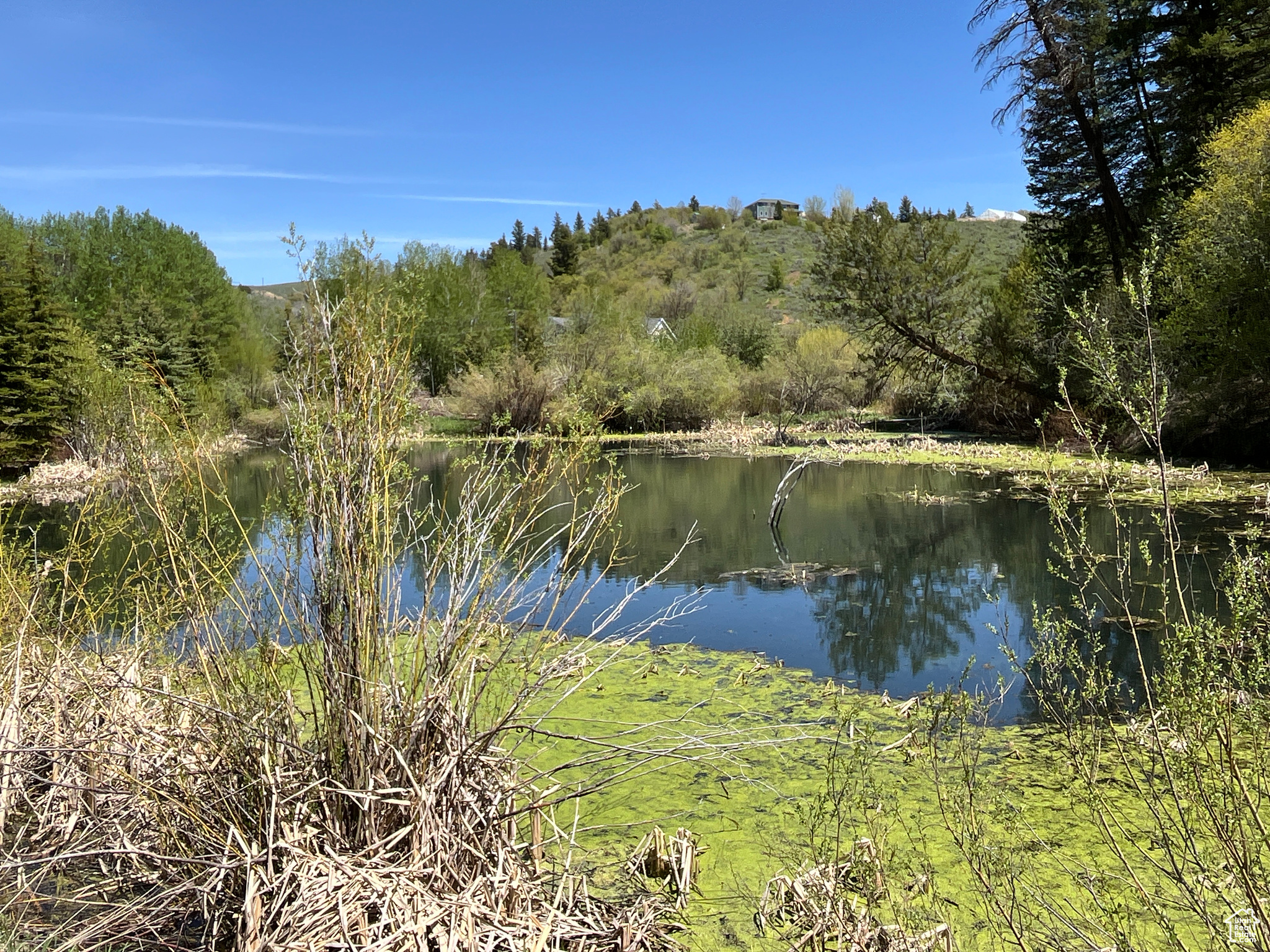 0, Pocatello, Idaho 83201, ,Land,For sale,1982463