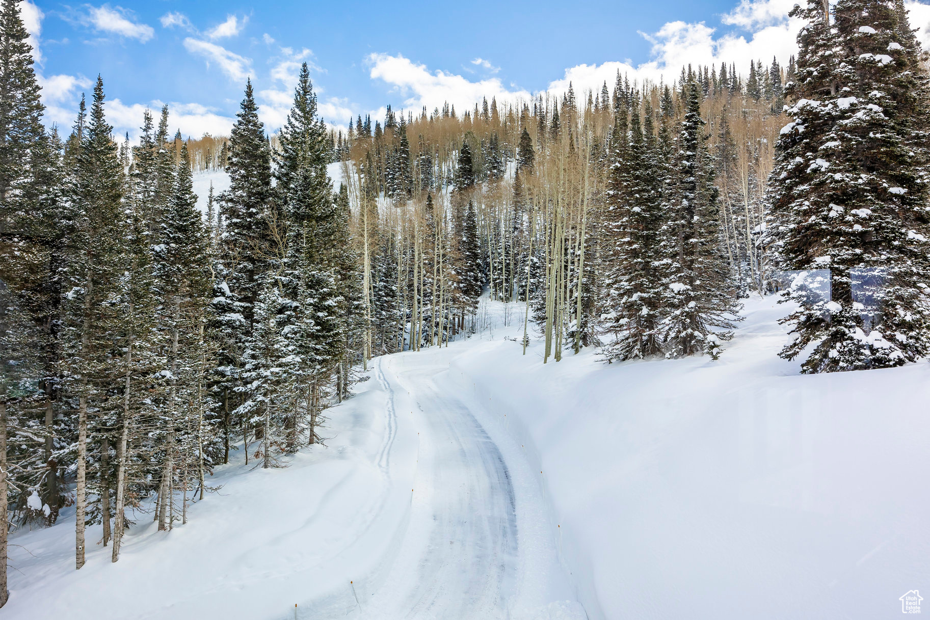 150 WHITE PINE CANYON, Park City, Utah 84060, 5 Bedrooms Bedrooms, 25 Rooms Rooms,1 BathroomBathrooms,Residential,For sale,WHITE PINE CANYON,1982485