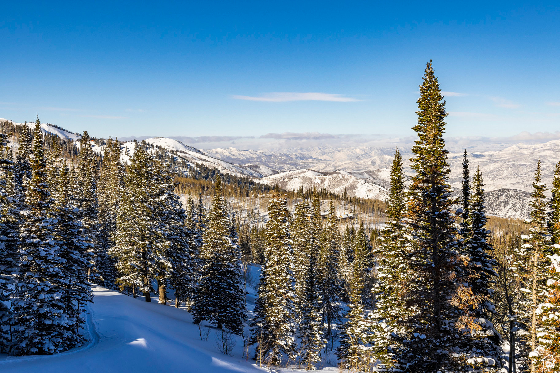 150 WHITE PINE CANYON, Park City, Utah 84060, 5 Bedrooms Bedrooms, 25 Rooms Rooms,1 BathroomBathrooms,Residential,For sale,WHITE PINE CANYON,1982485