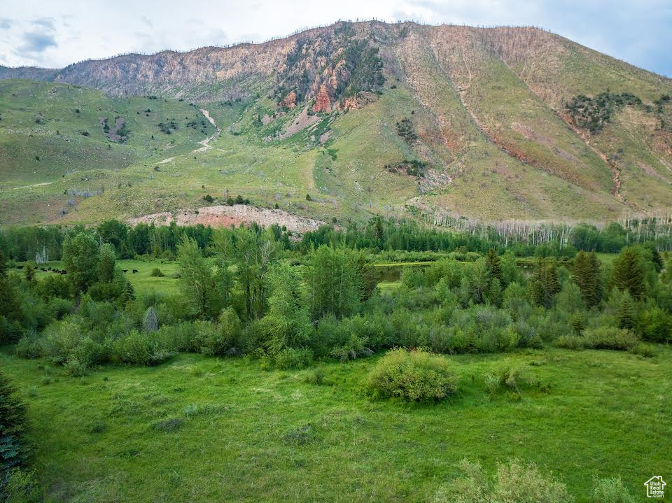 Mountain Home, Utah 84051, ,Land,For sale,1982537