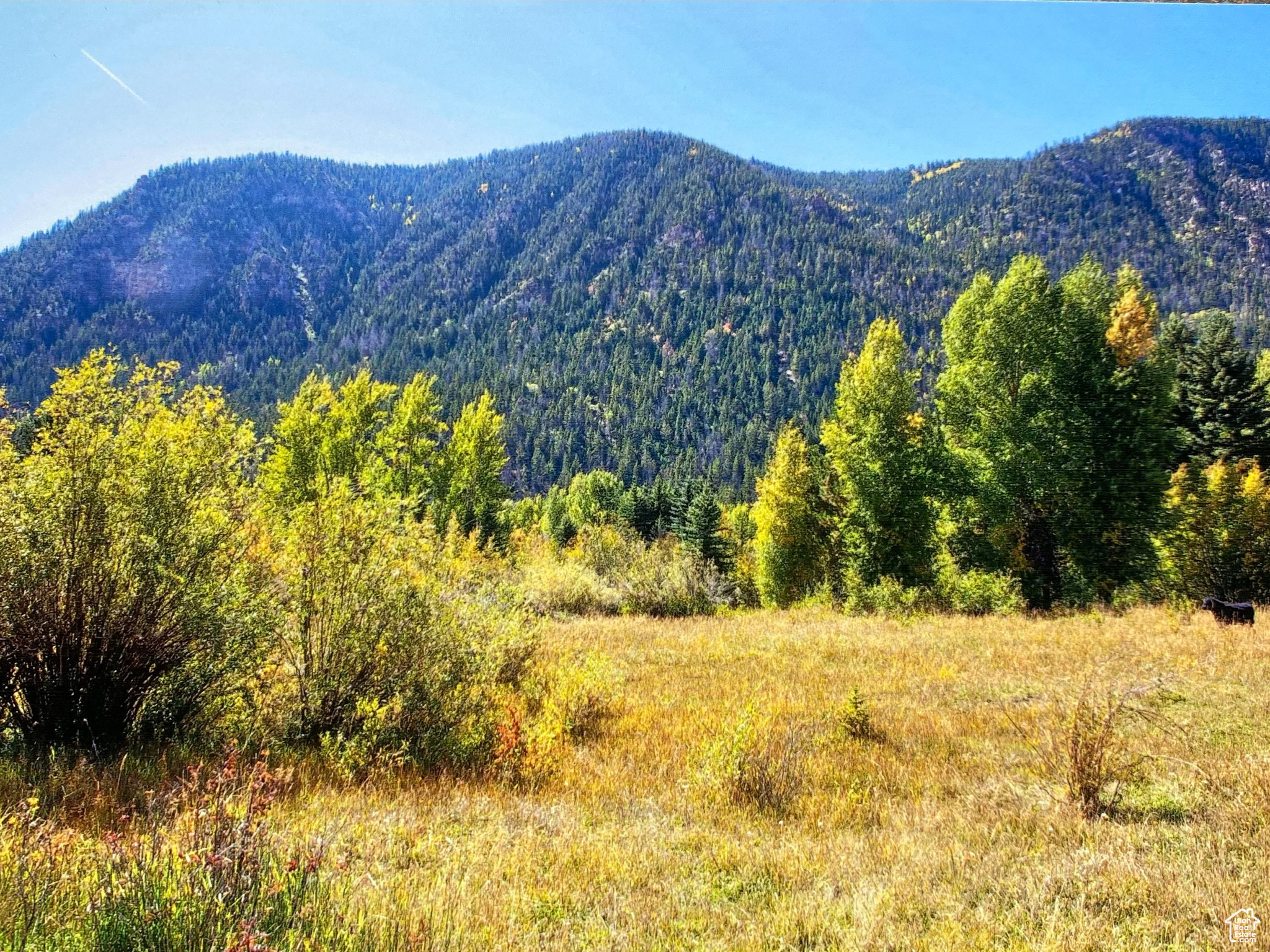 Mountain Home, Utah 84051, ,Land,For sale,1982537