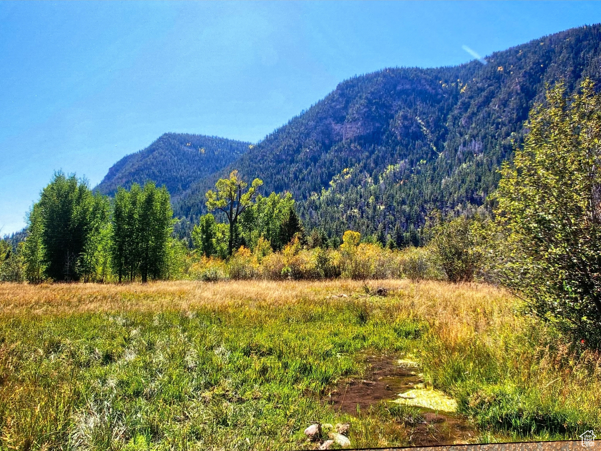 Mountain Home, Utah 84051, ,Land,For sale,1982537