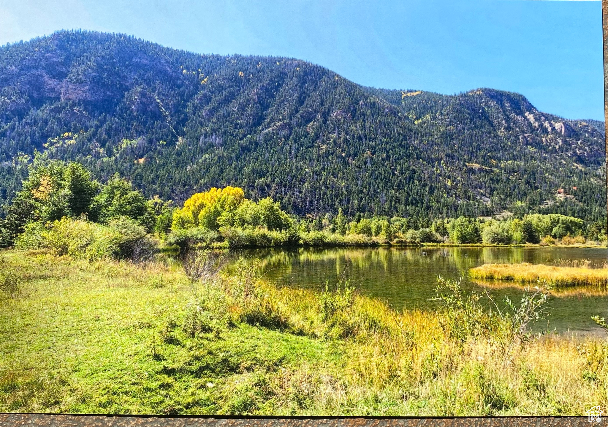 Mountain Home, Utah 84051, ,Land,For sale,1982537