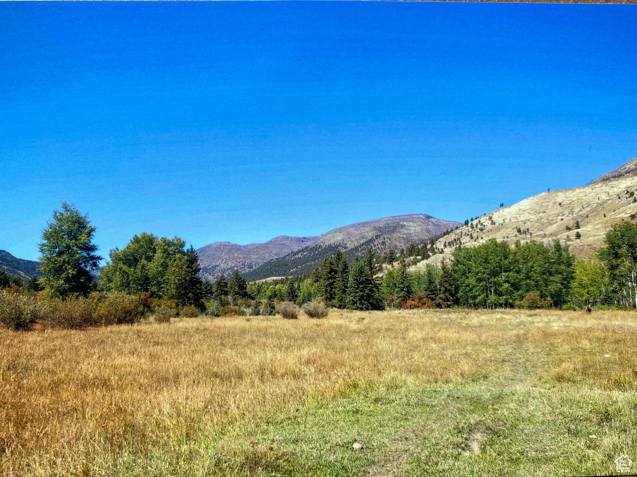 Mountain Home, Utah 84051, ,Land,For sale,1982537